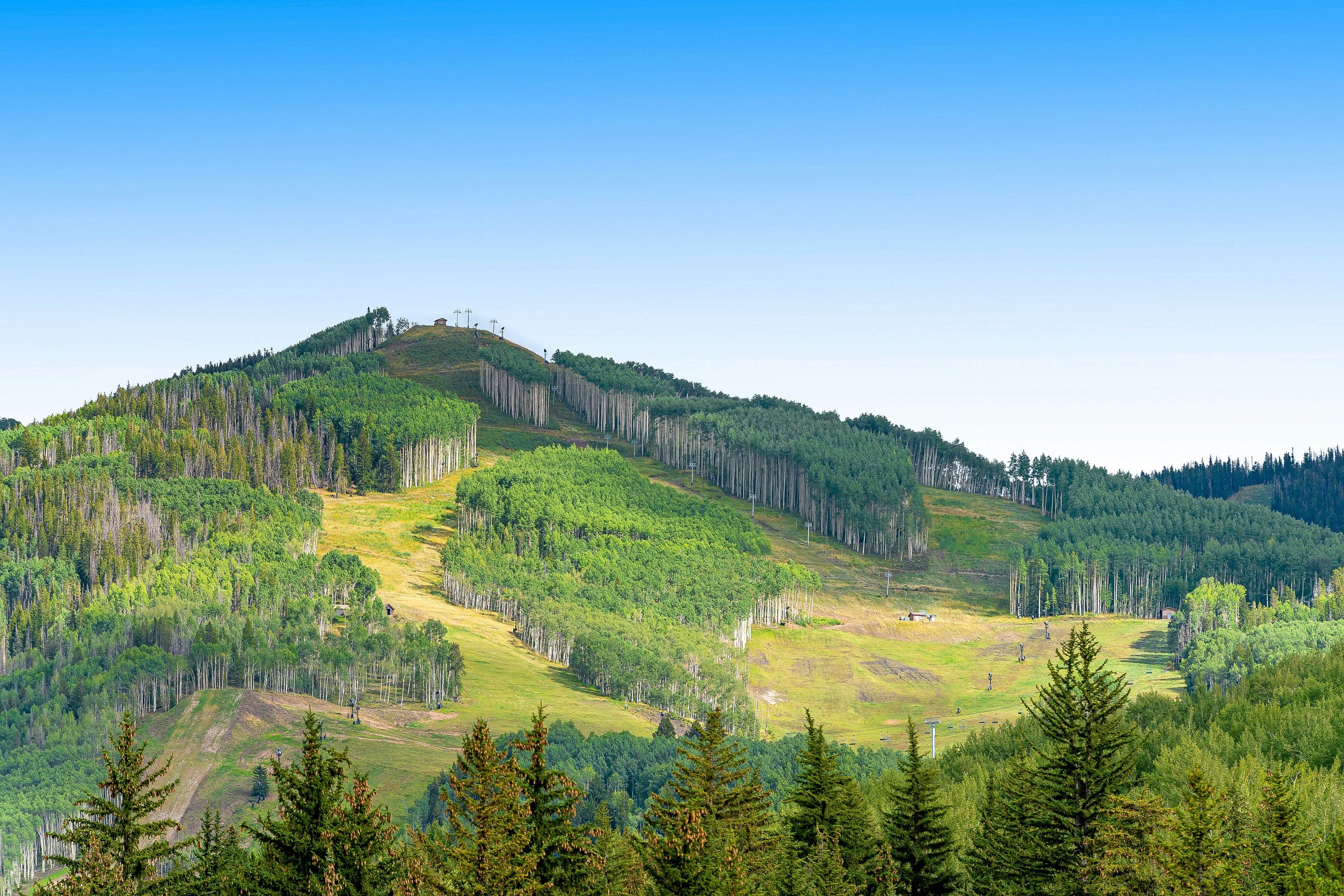 Lion Square Lodge South 174