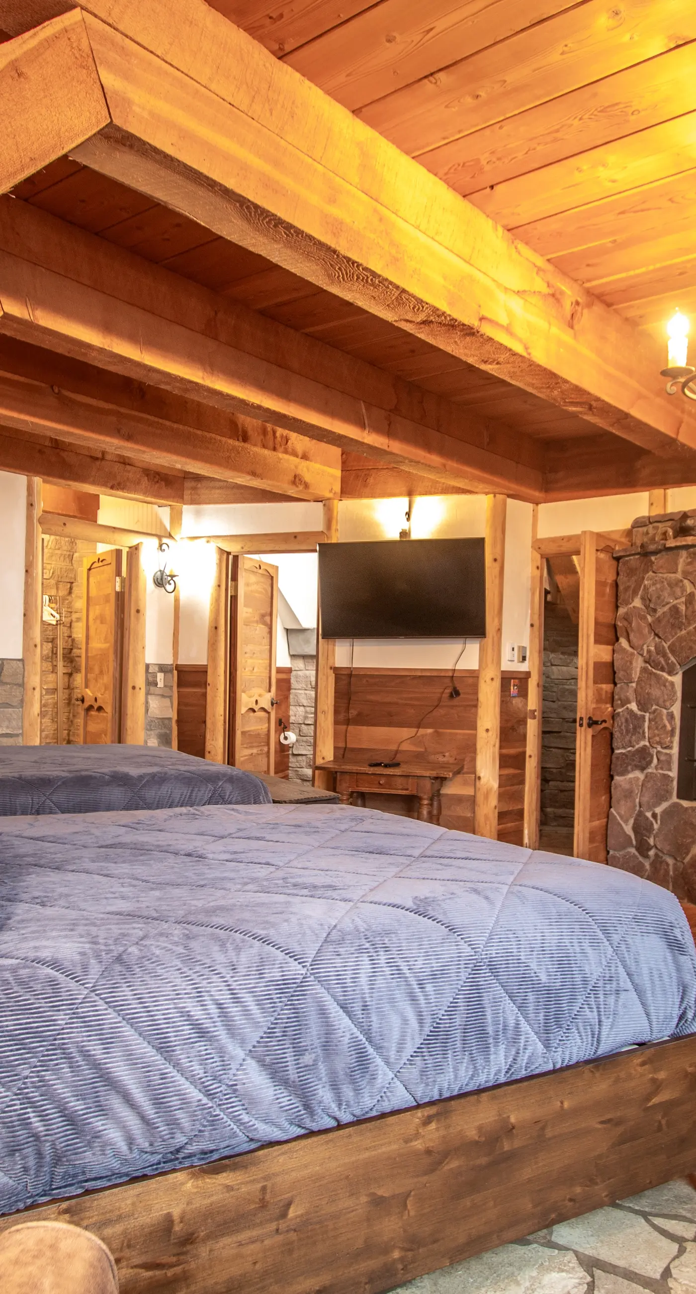 The Castles on Schweitzer