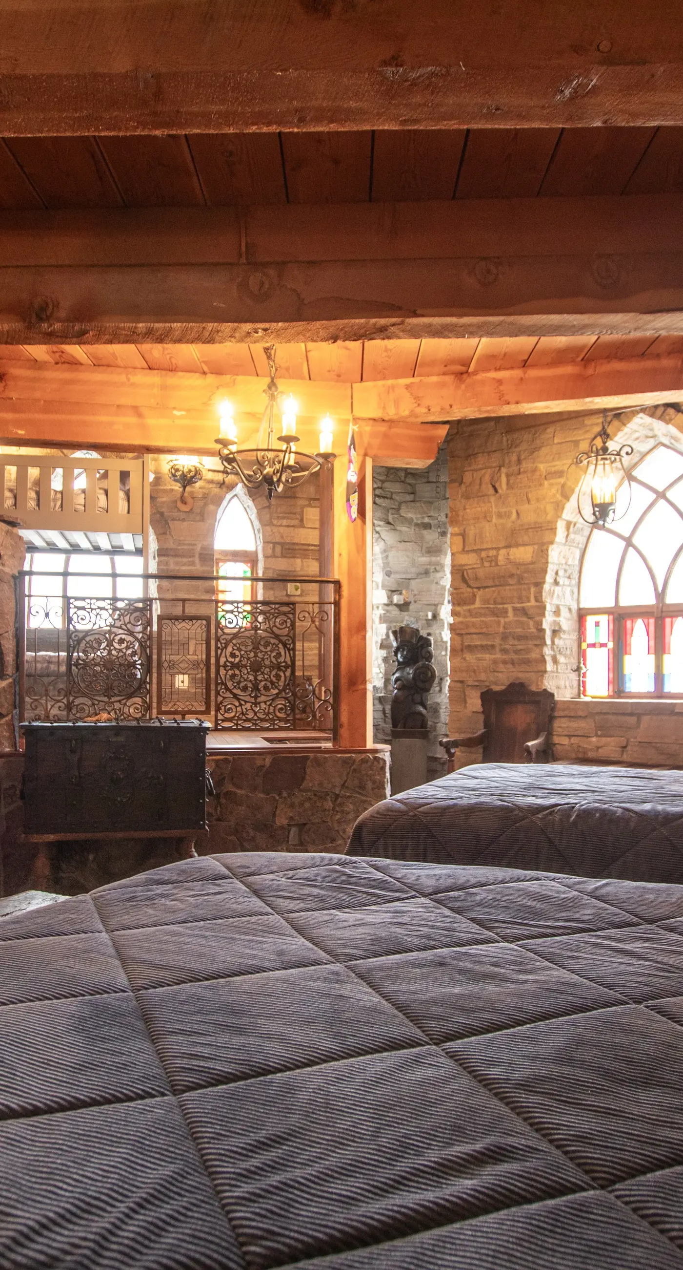 The Castles on Schweitzer