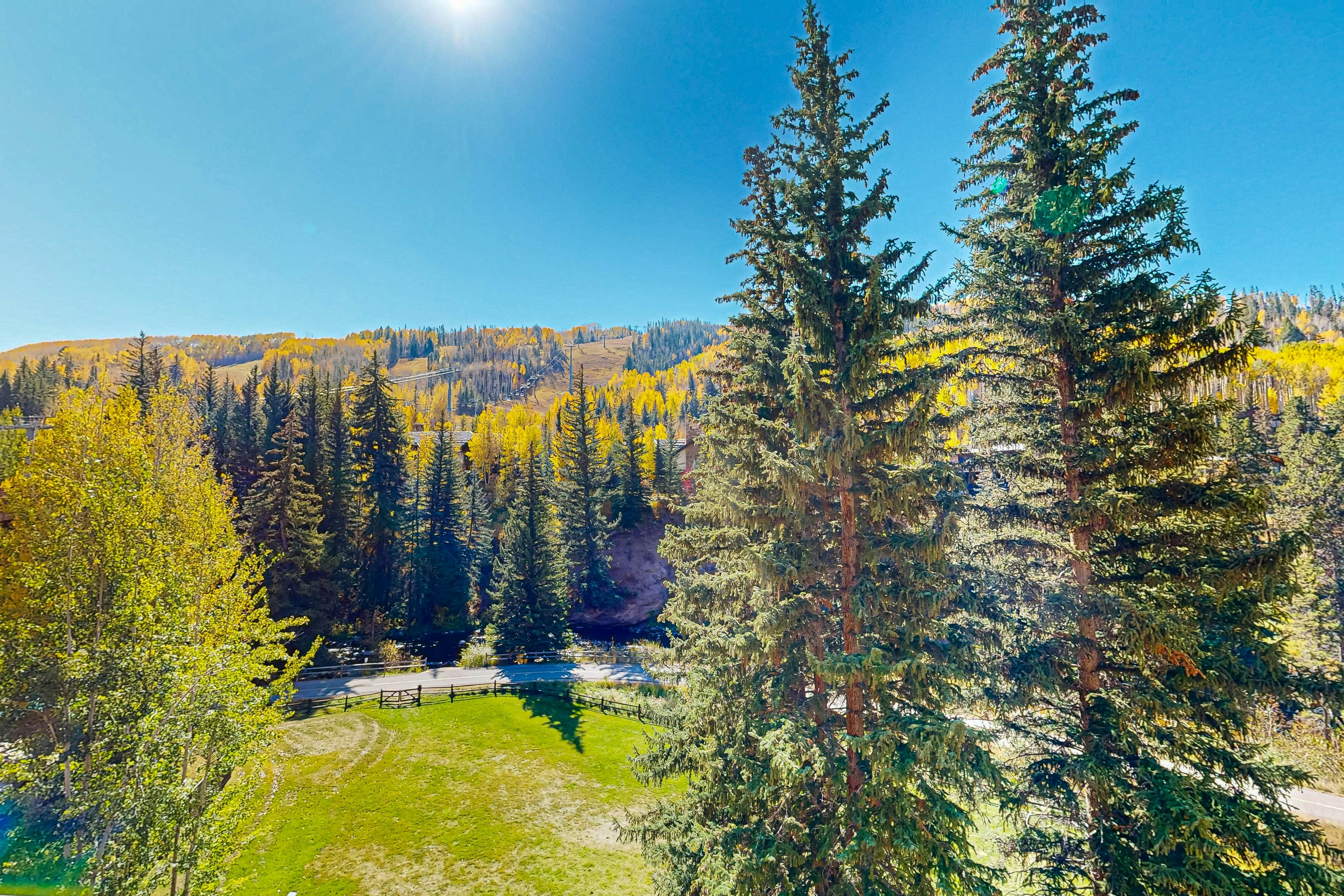 Lion Square Lodge South 462