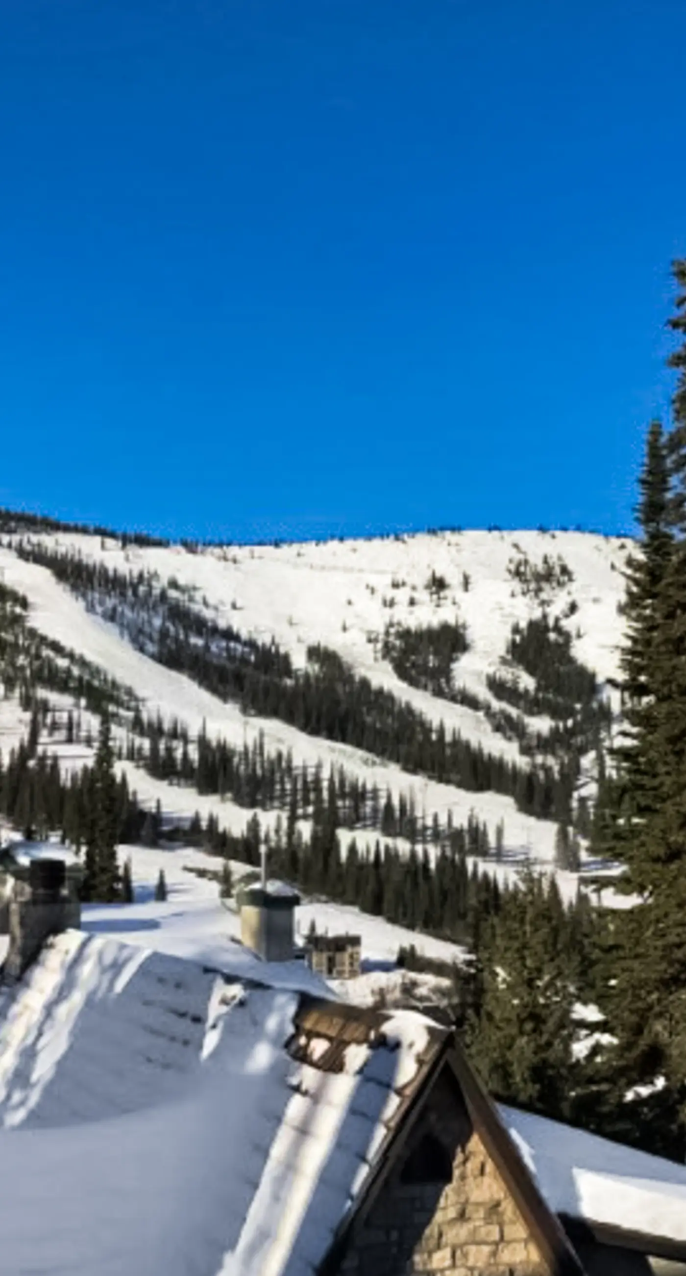 The Castles on Schweitzer