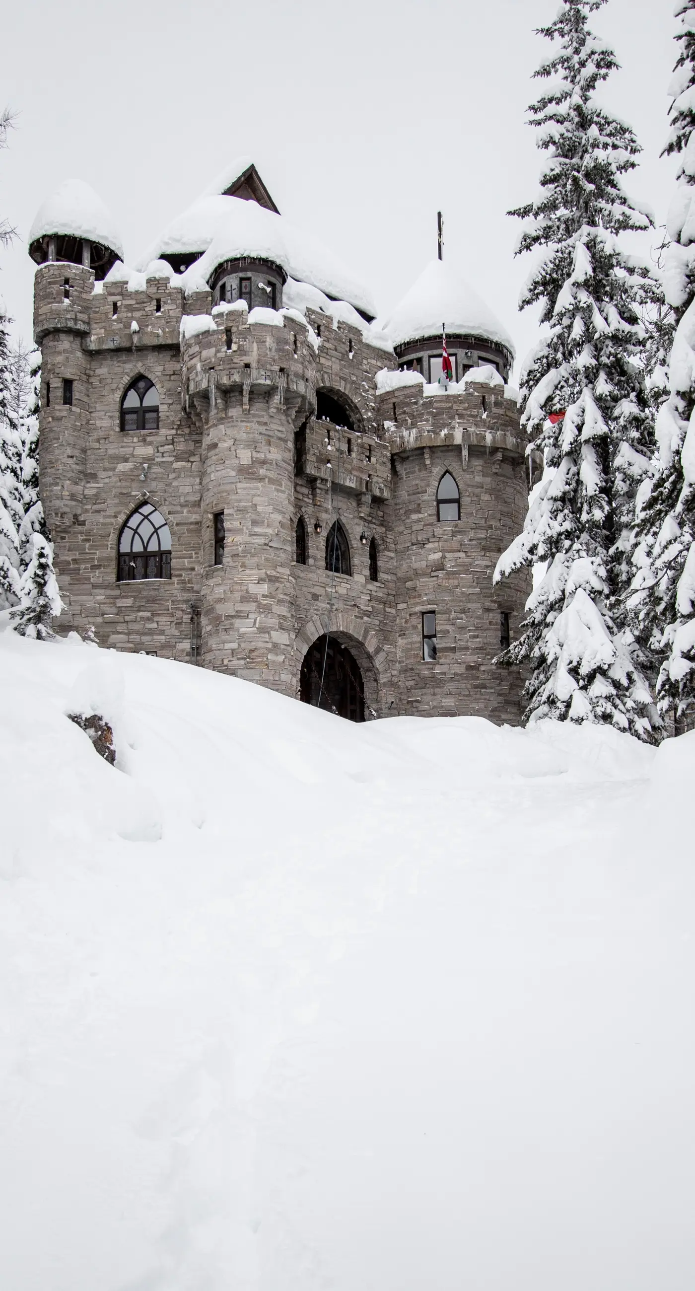 The Castles on Schweitzer