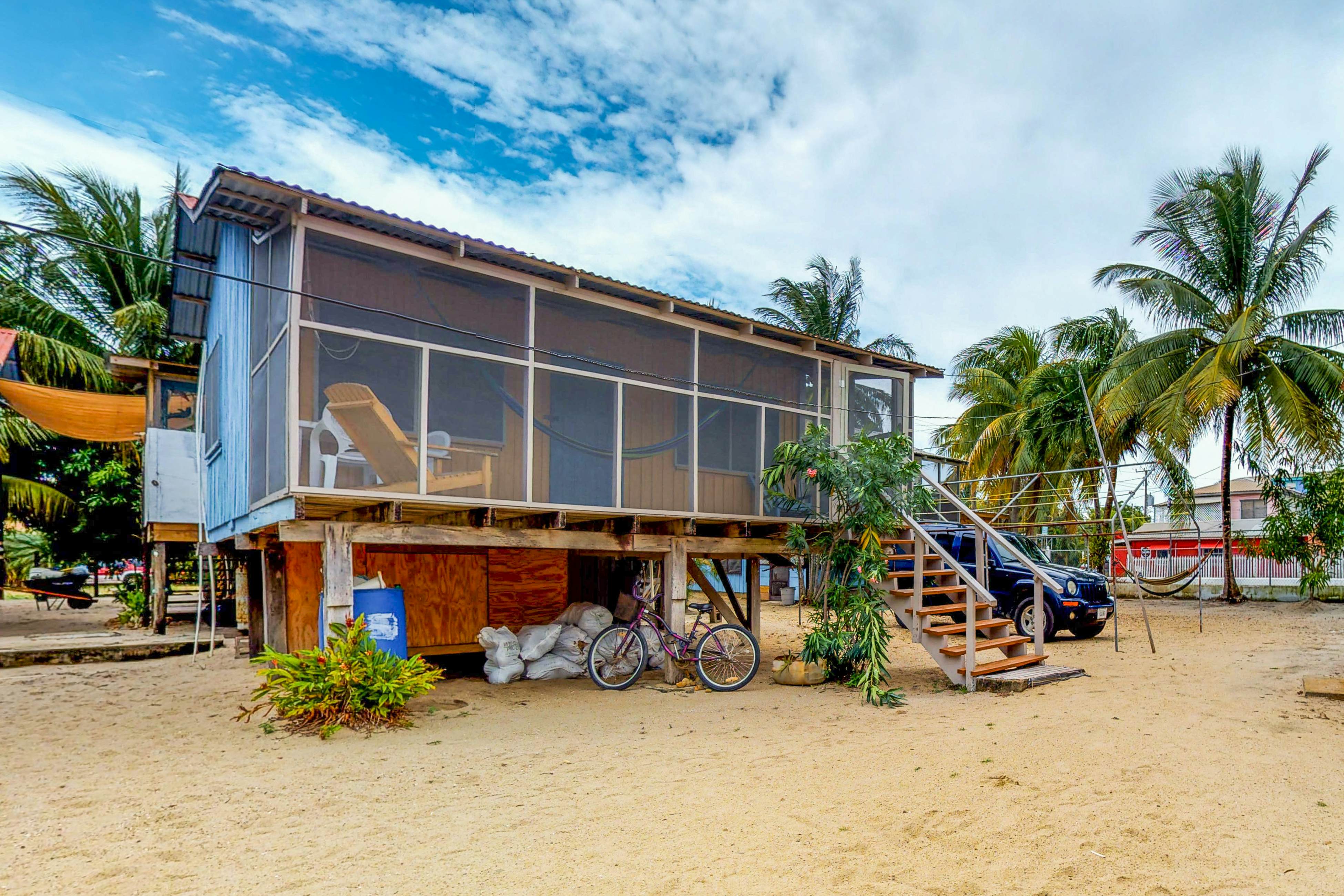 Jack at Carol's Cabanas -Gold Standard Certified