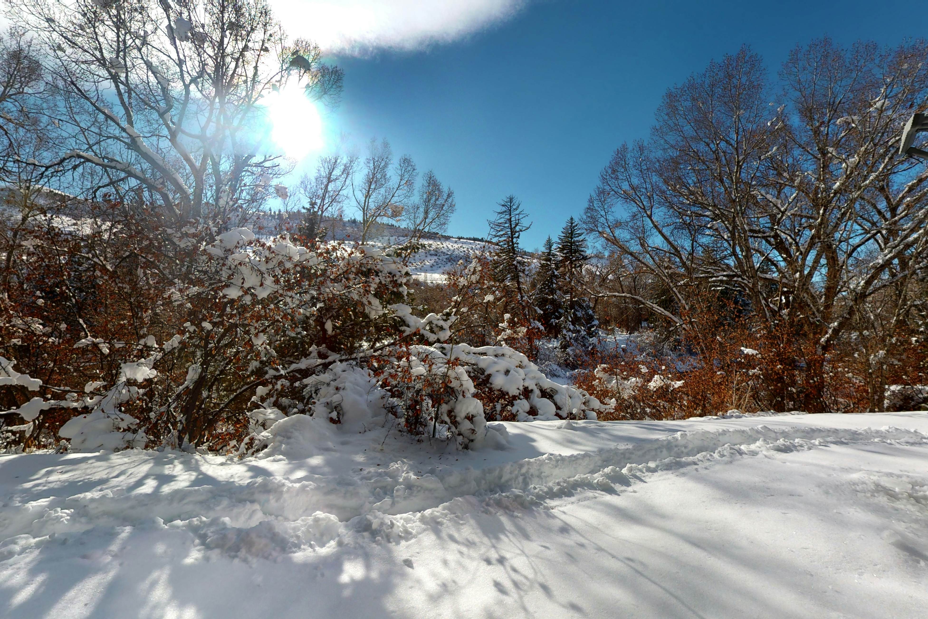 hidden image preload