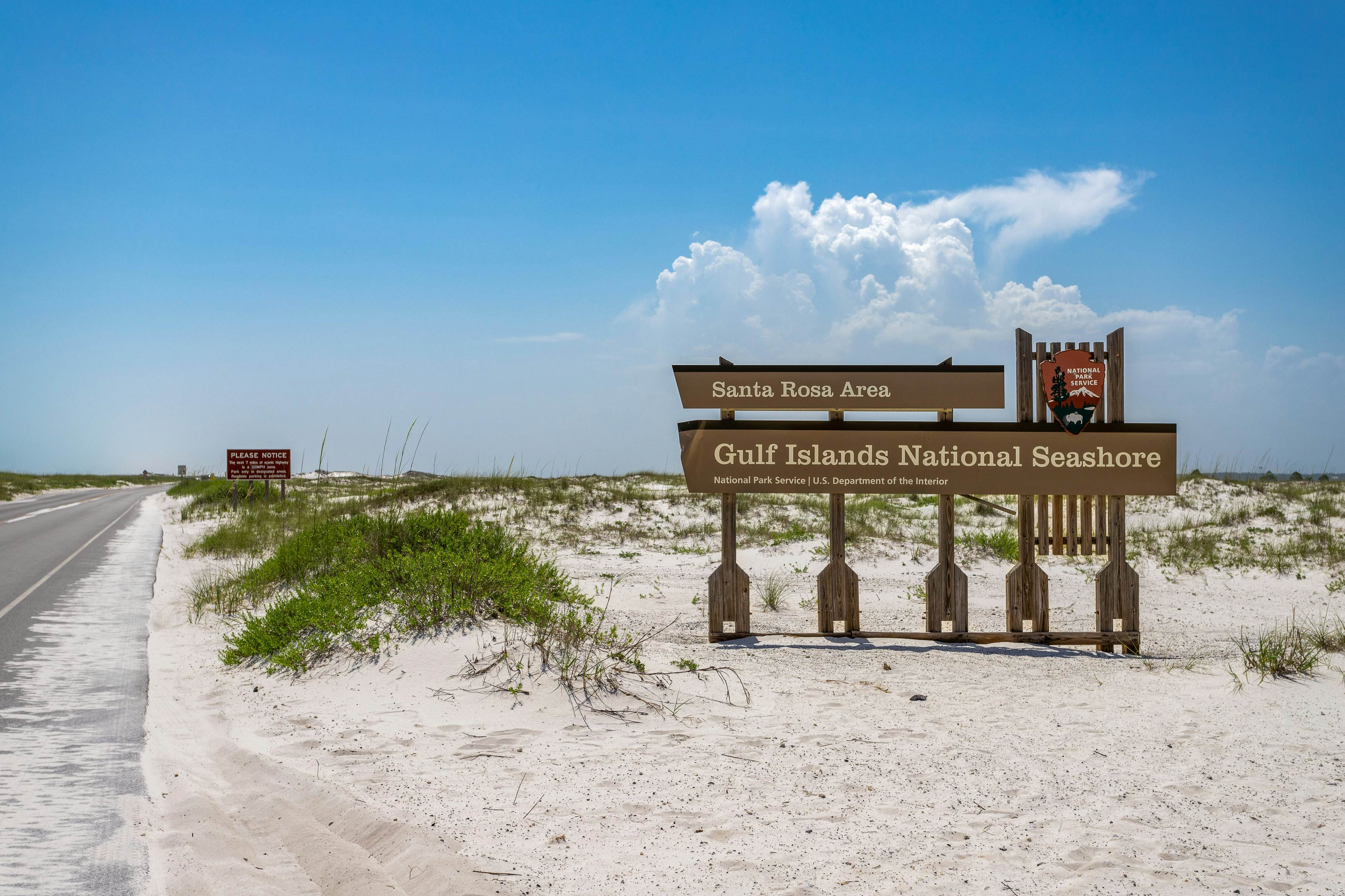 Sunset Harbor Palms 1-308