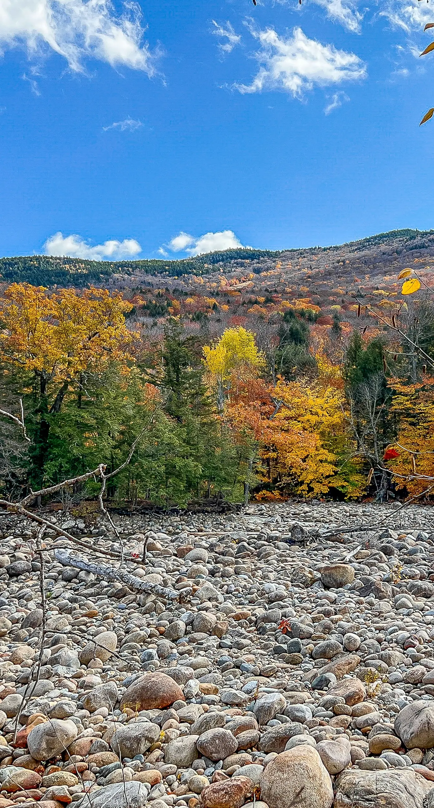 204 Studio at Rivergreen