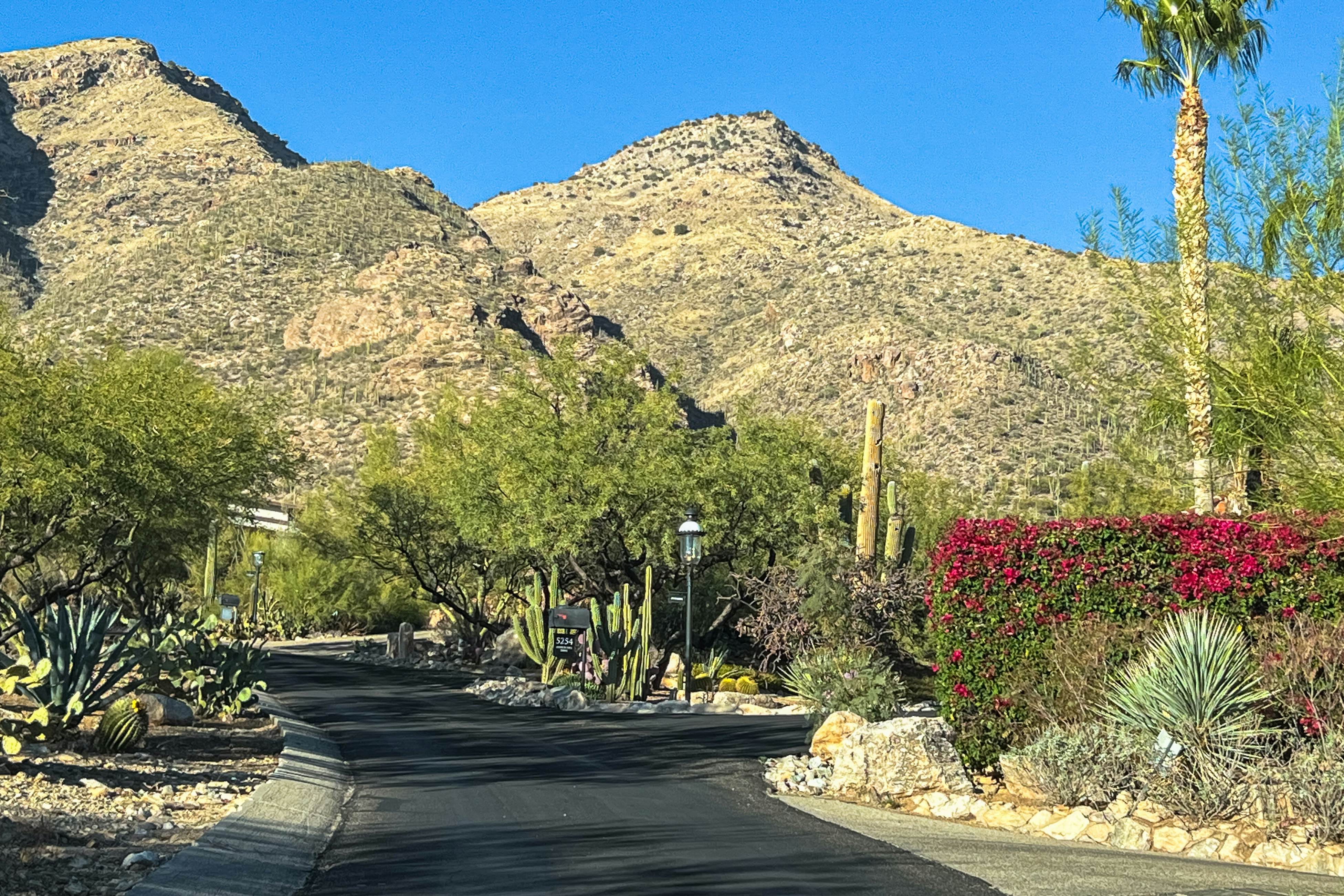 Skyline Casitas Palo Verde