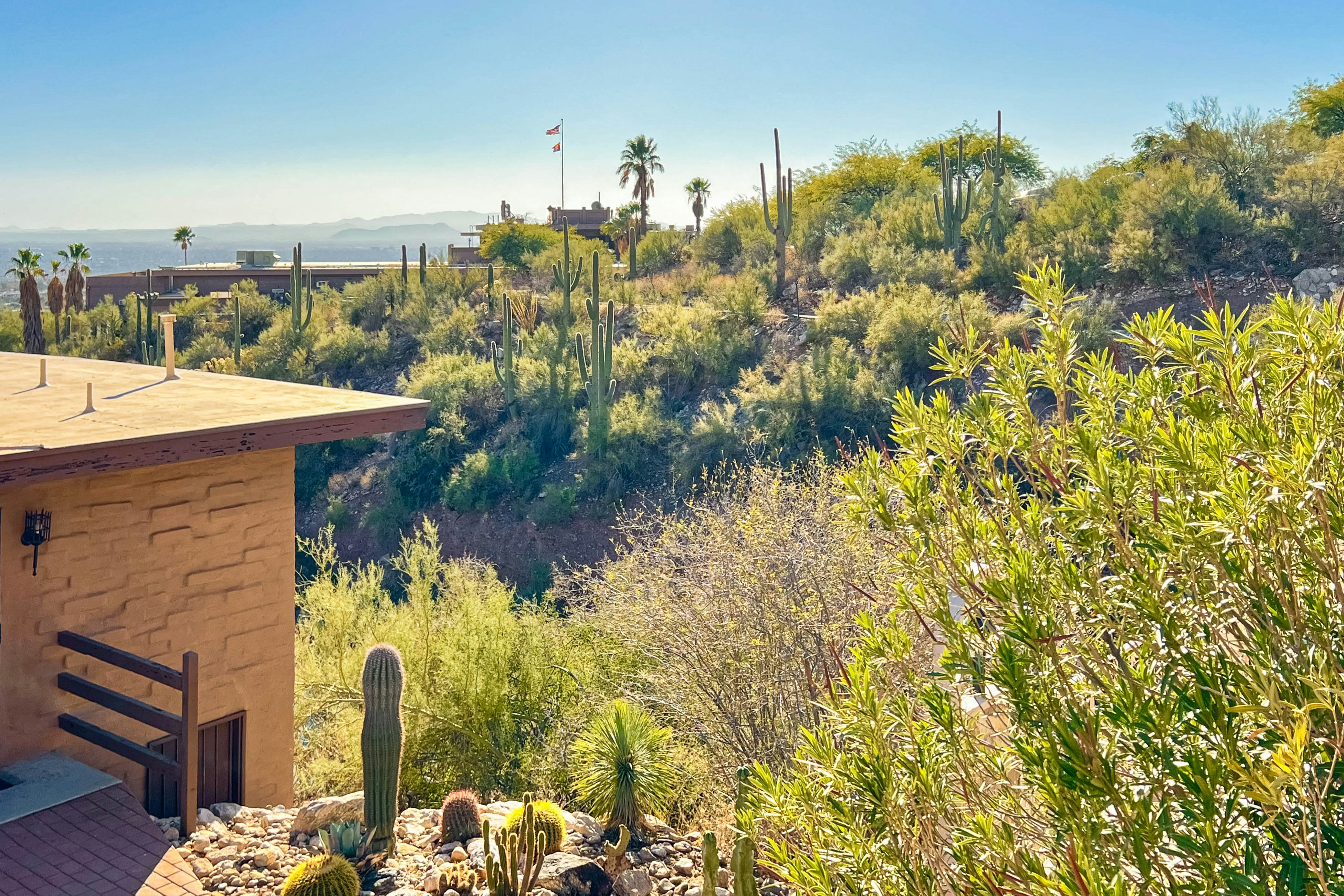 Skyline Casitas Palo Verde