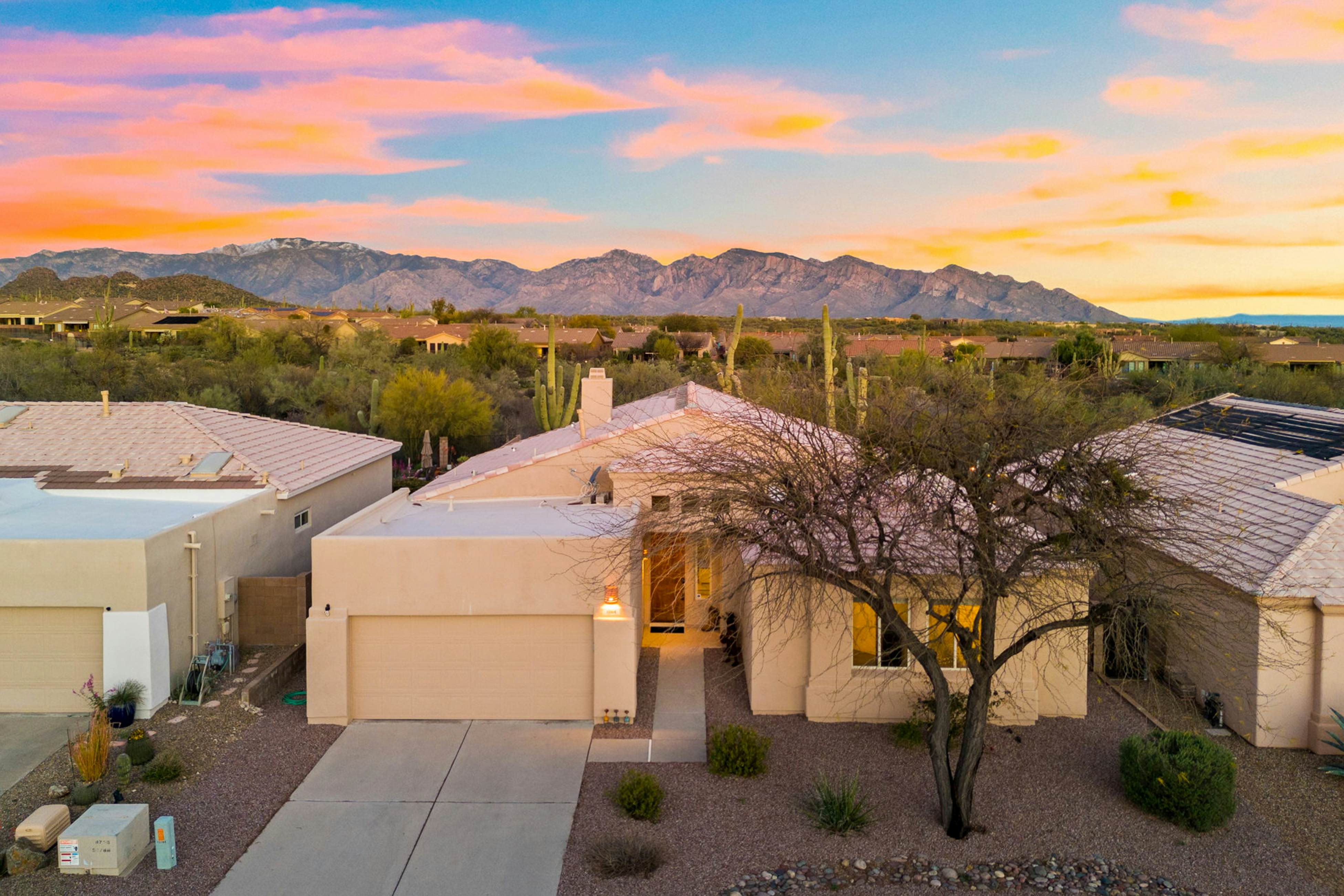 Four Saguaros at Dove Mountain