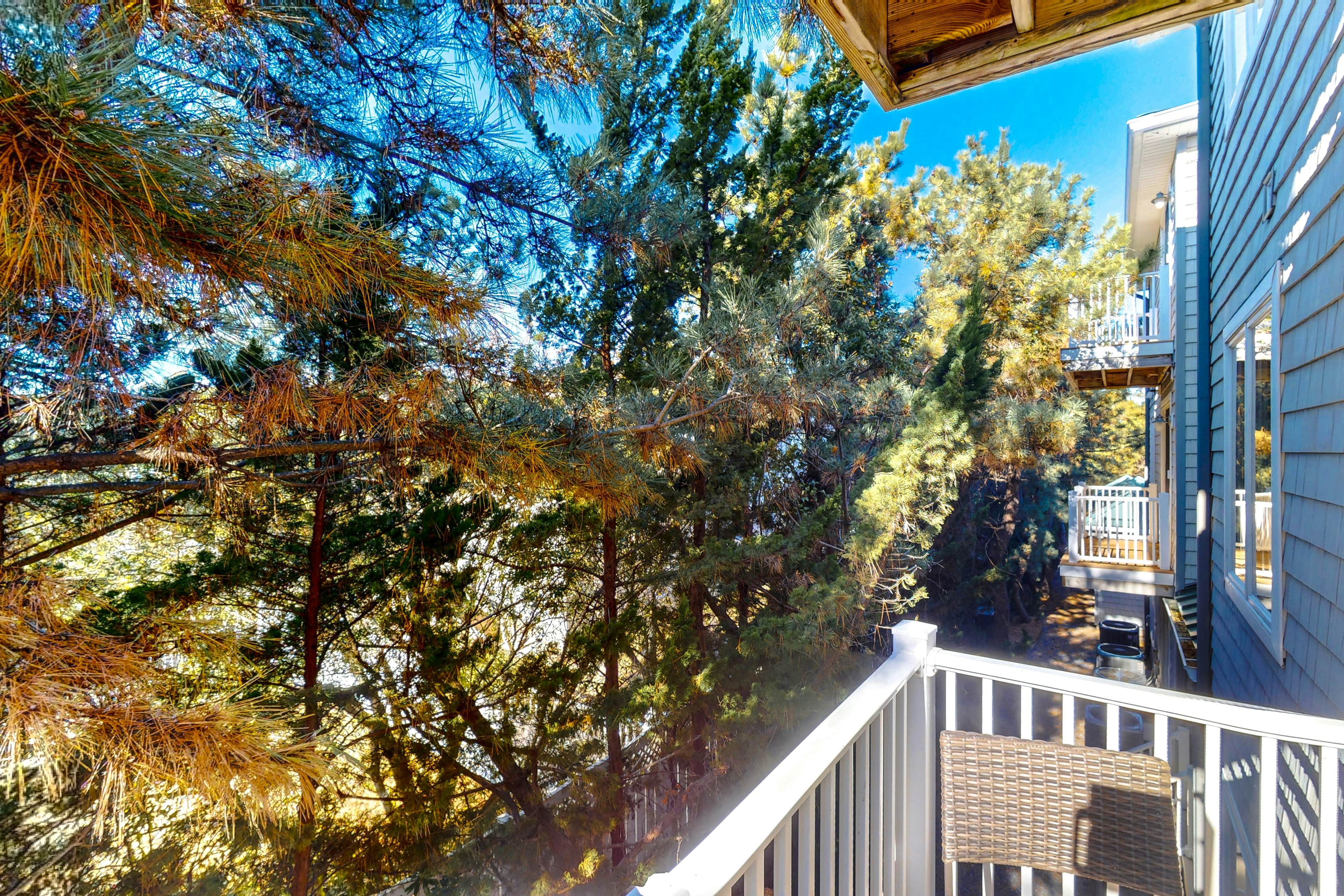 Seaside D204- Dolphin's Run 