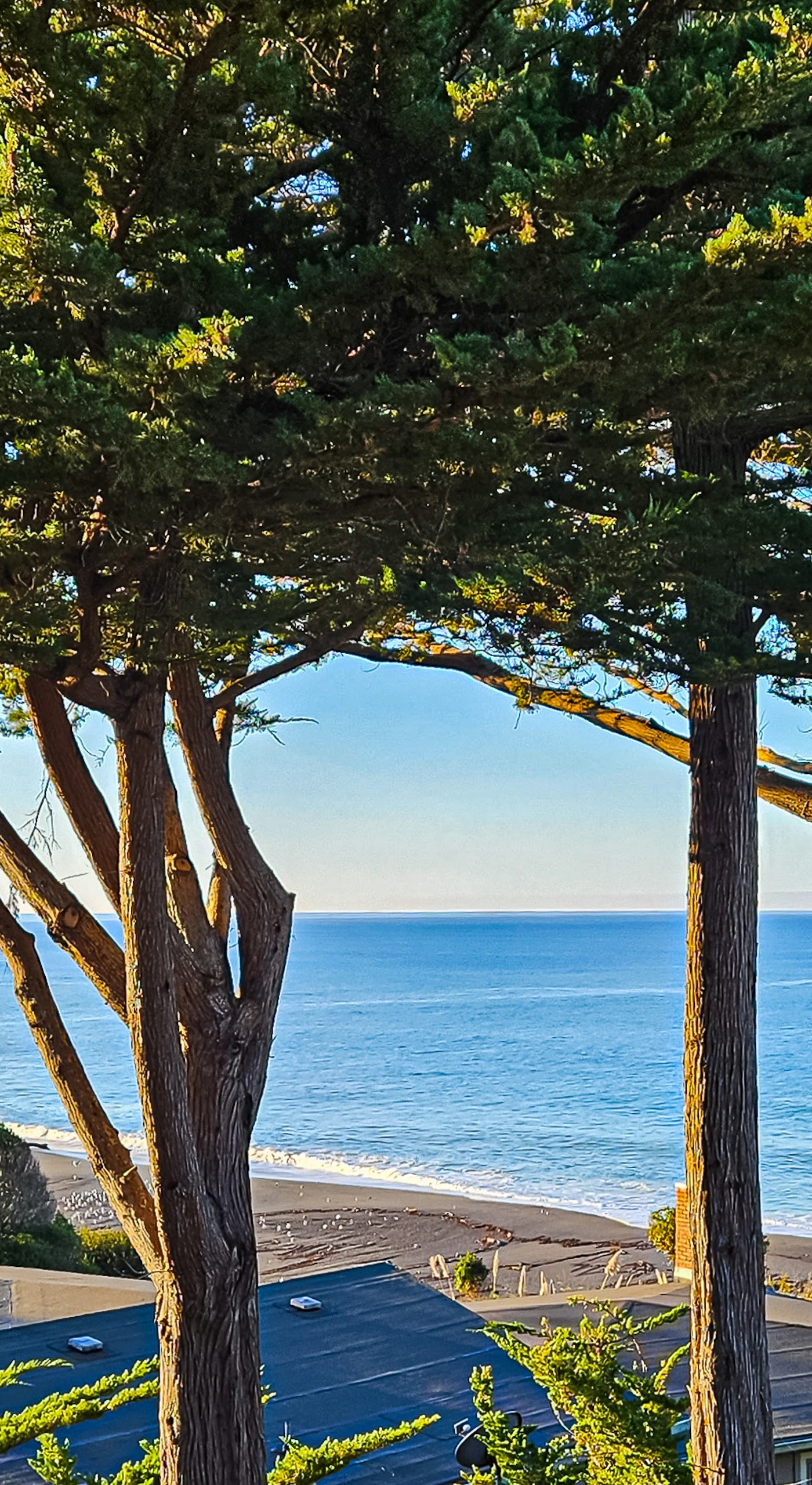 Framed by coastal trees, this stunning ocean view invites you to explore the beauty of Gualala's shores.