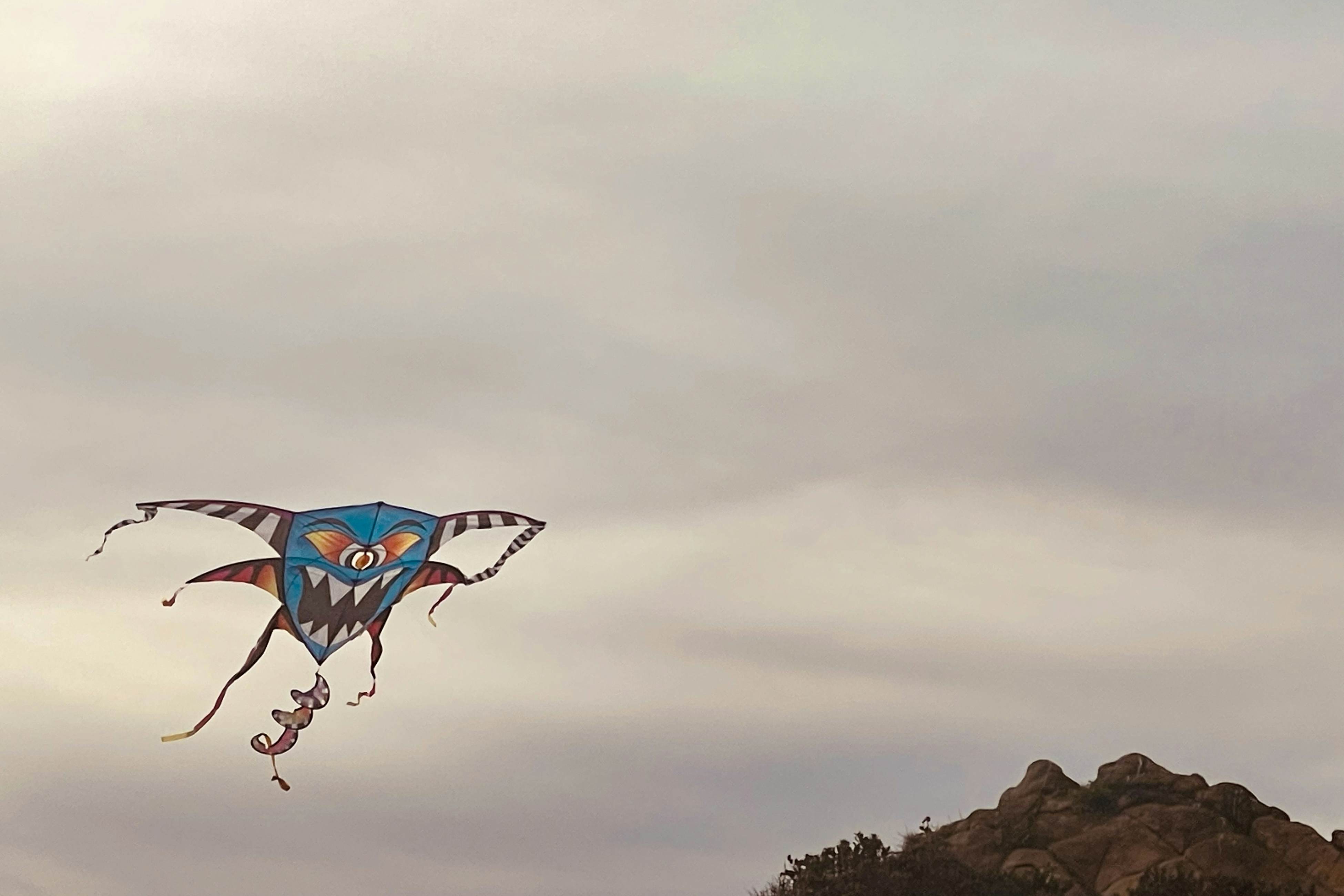 The Magical Forested Sea Cove