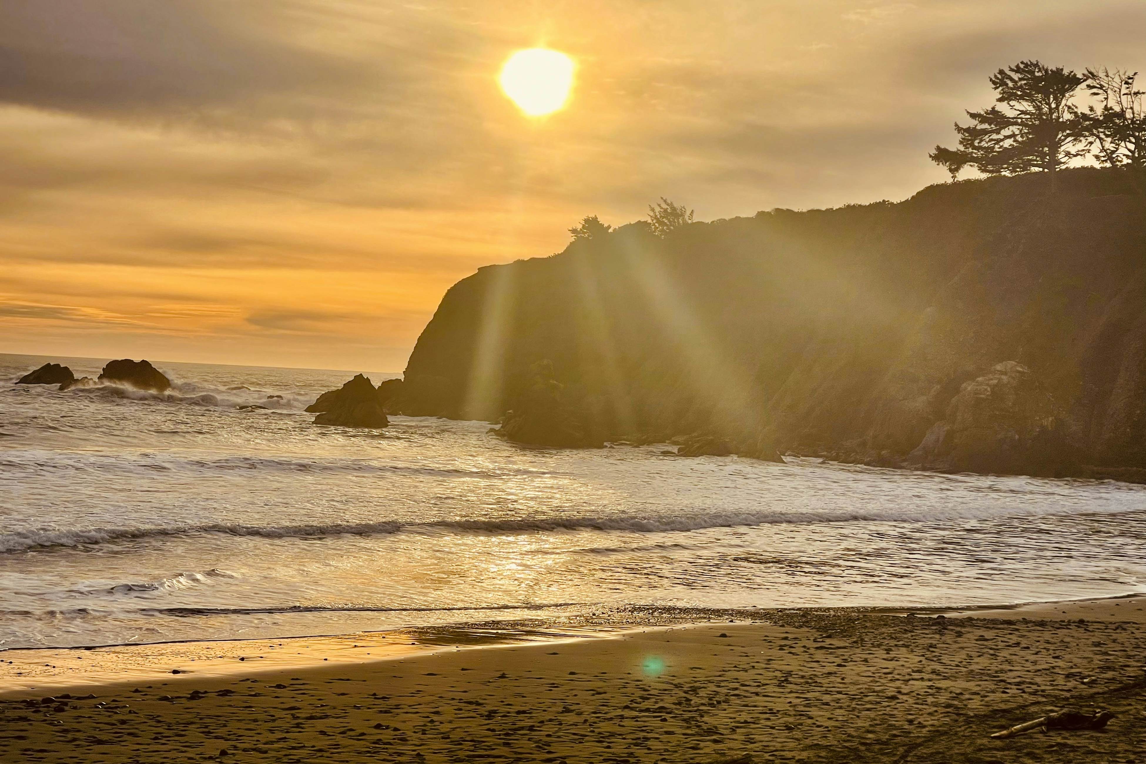 The Magical Forested Sea Cove