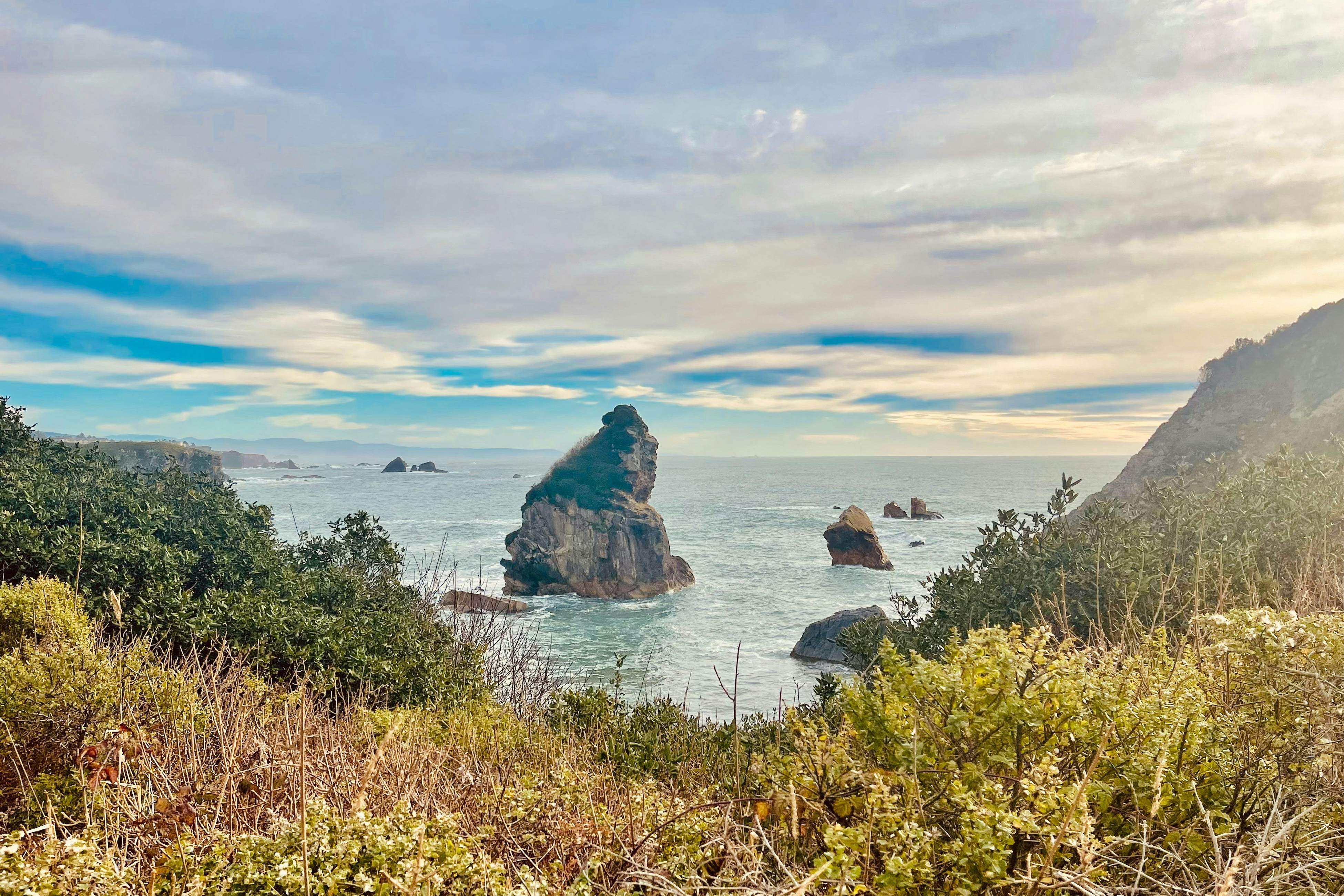 The Magical Forested Sea Cove