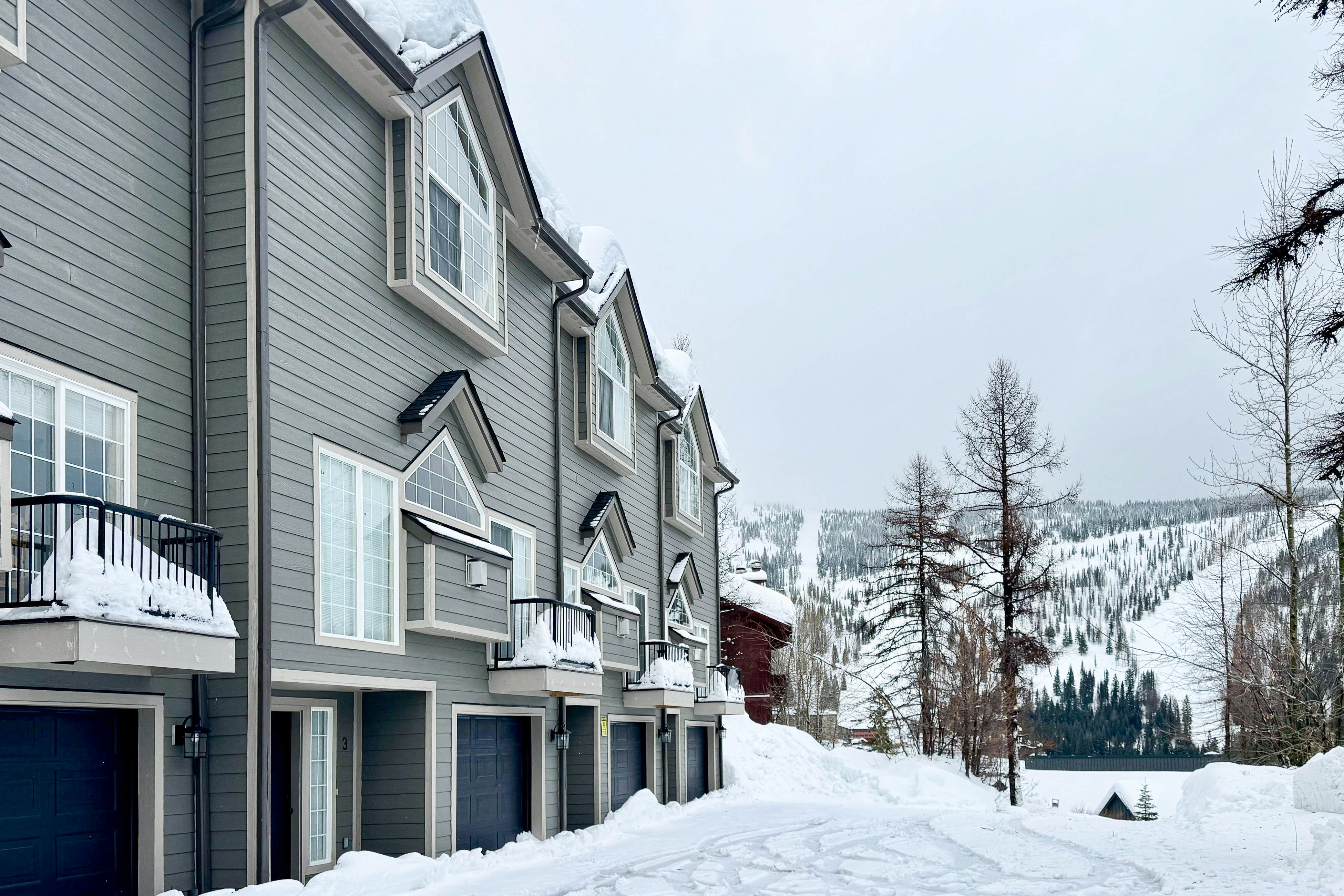 Schweitzer Ullr Retreat