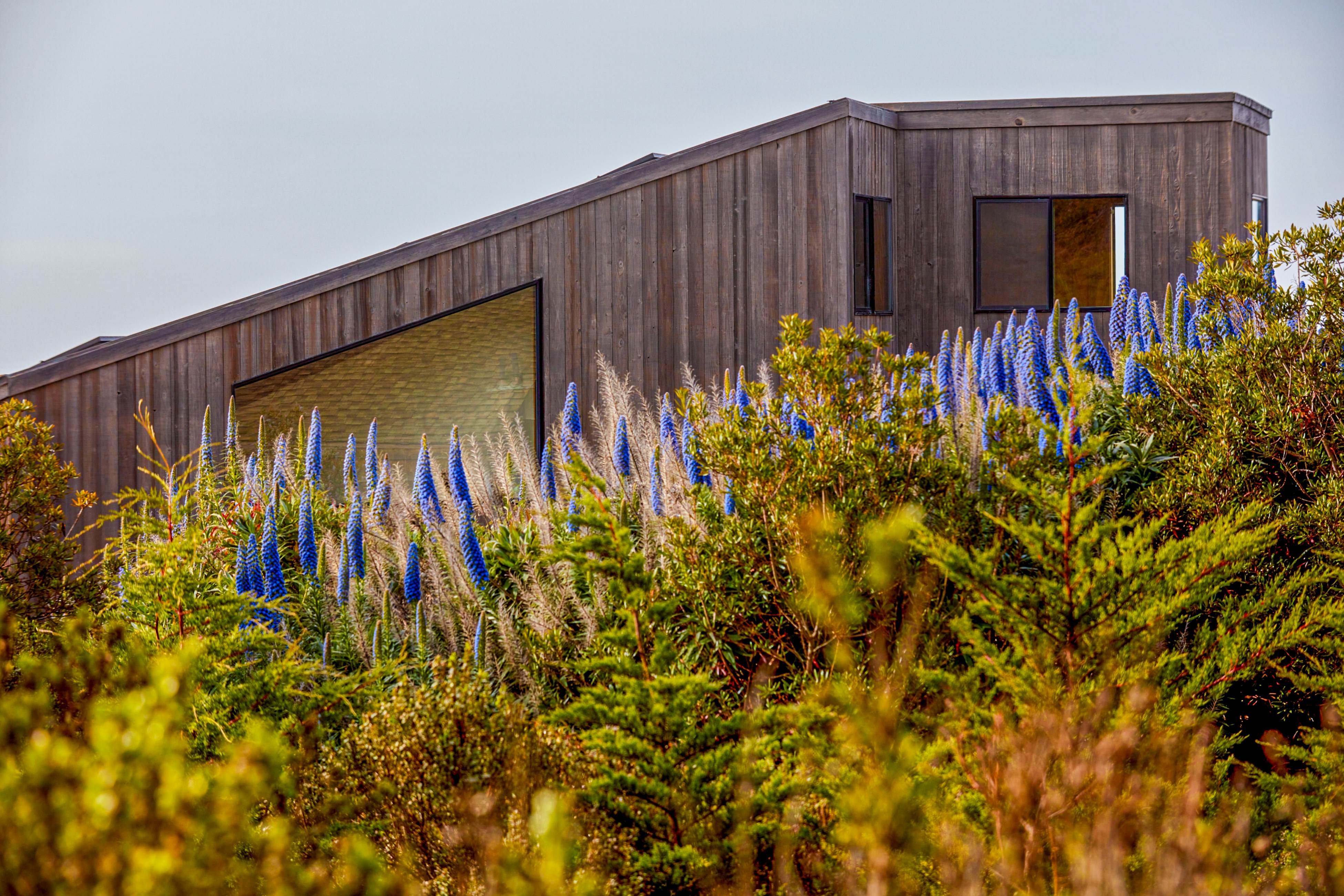 hidden image preload