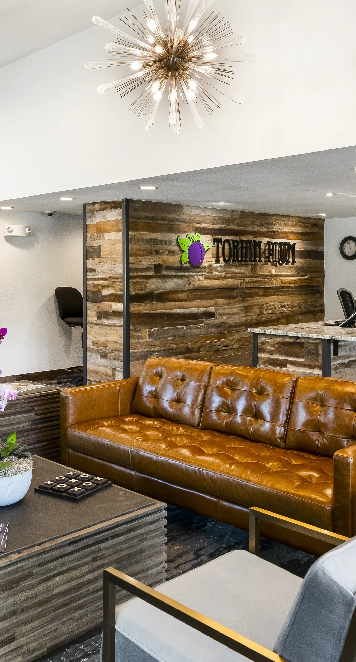 Torian Plum Plaza 403 