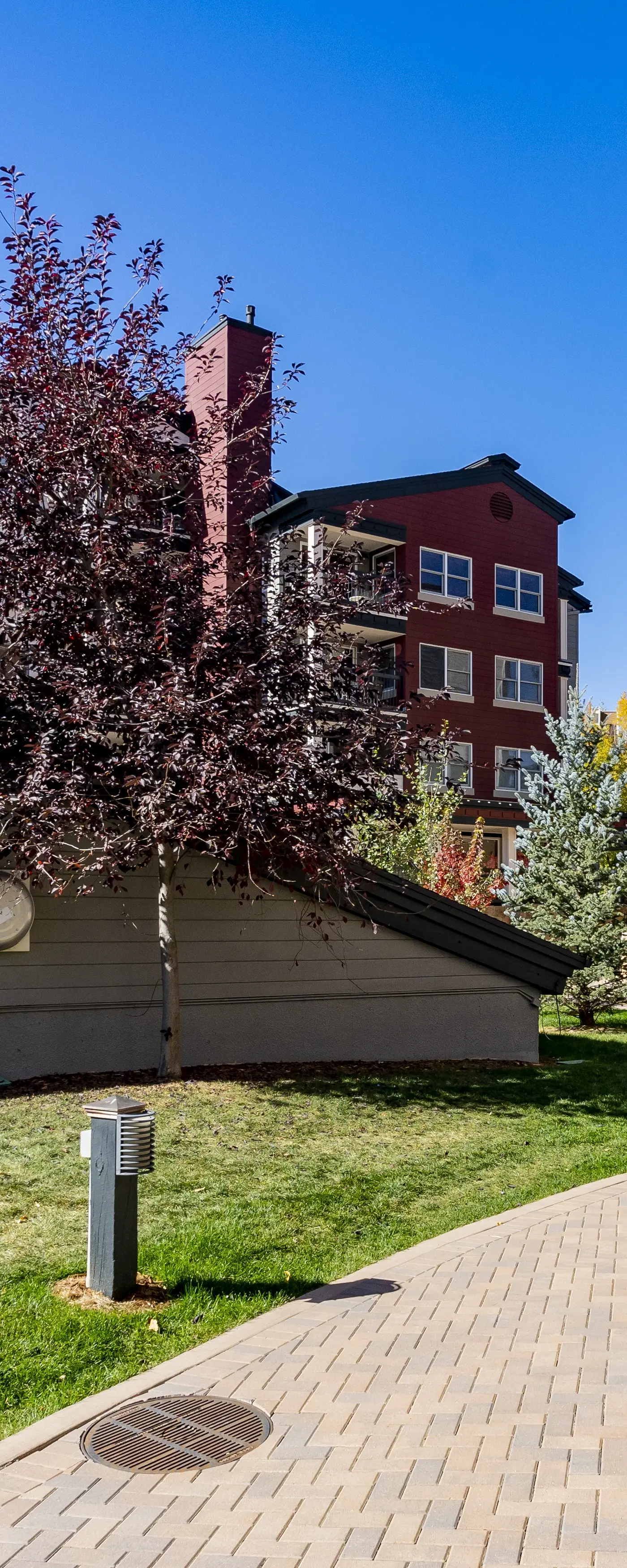 Torian Plum Plaza 403 