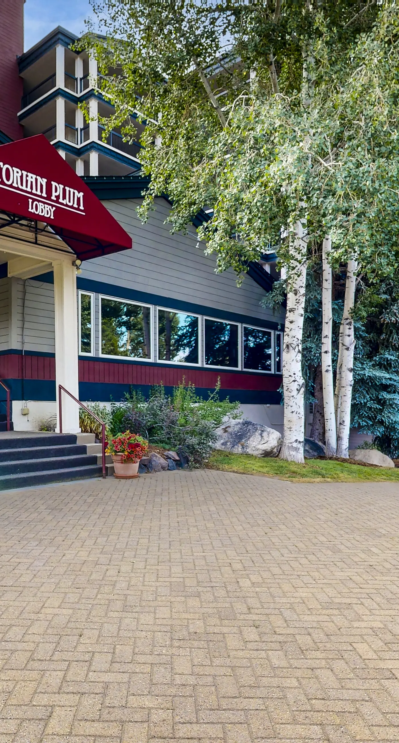 Torian Plum Plaza 403 