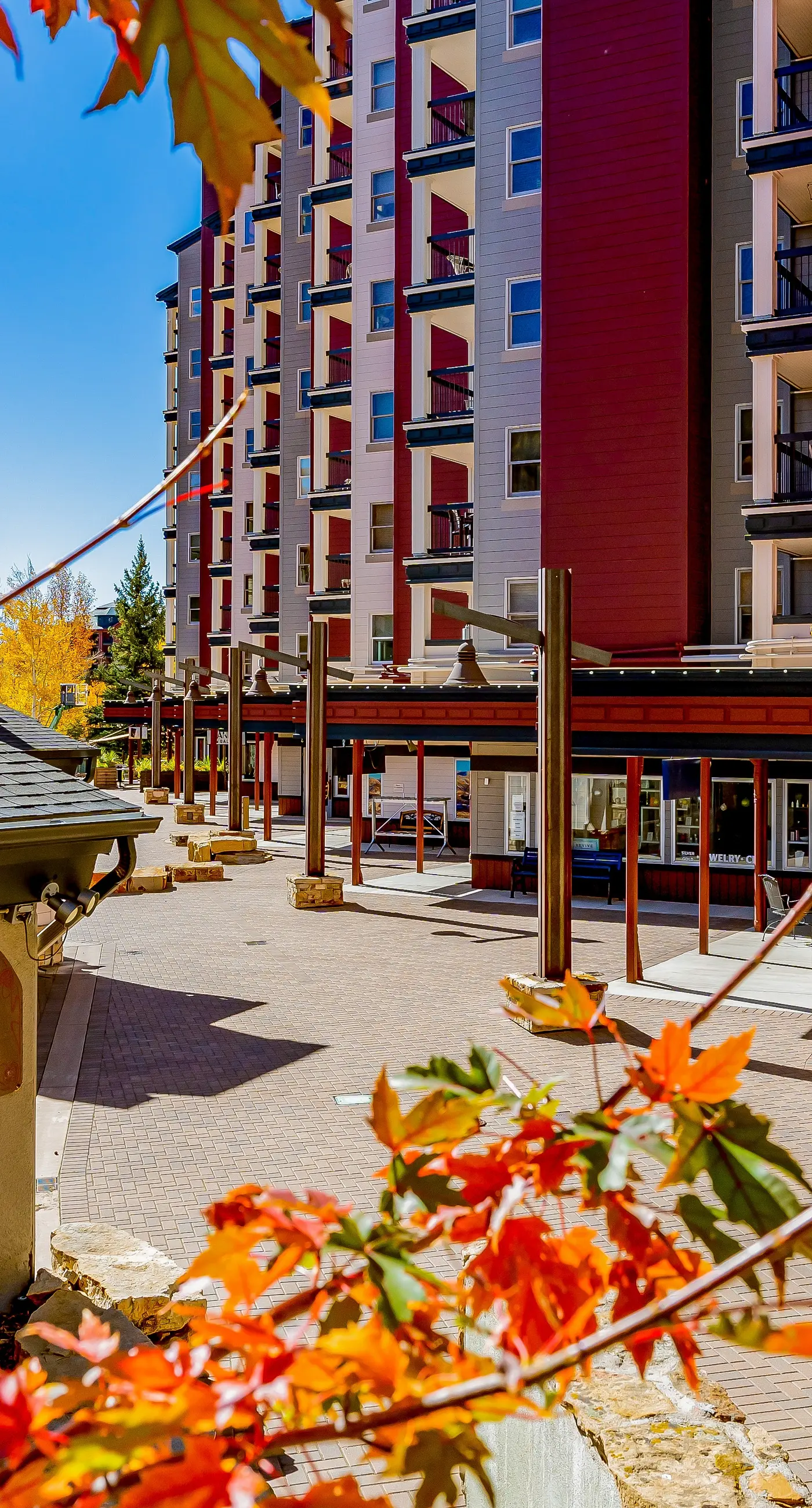 Torian Plum Plaza 403 