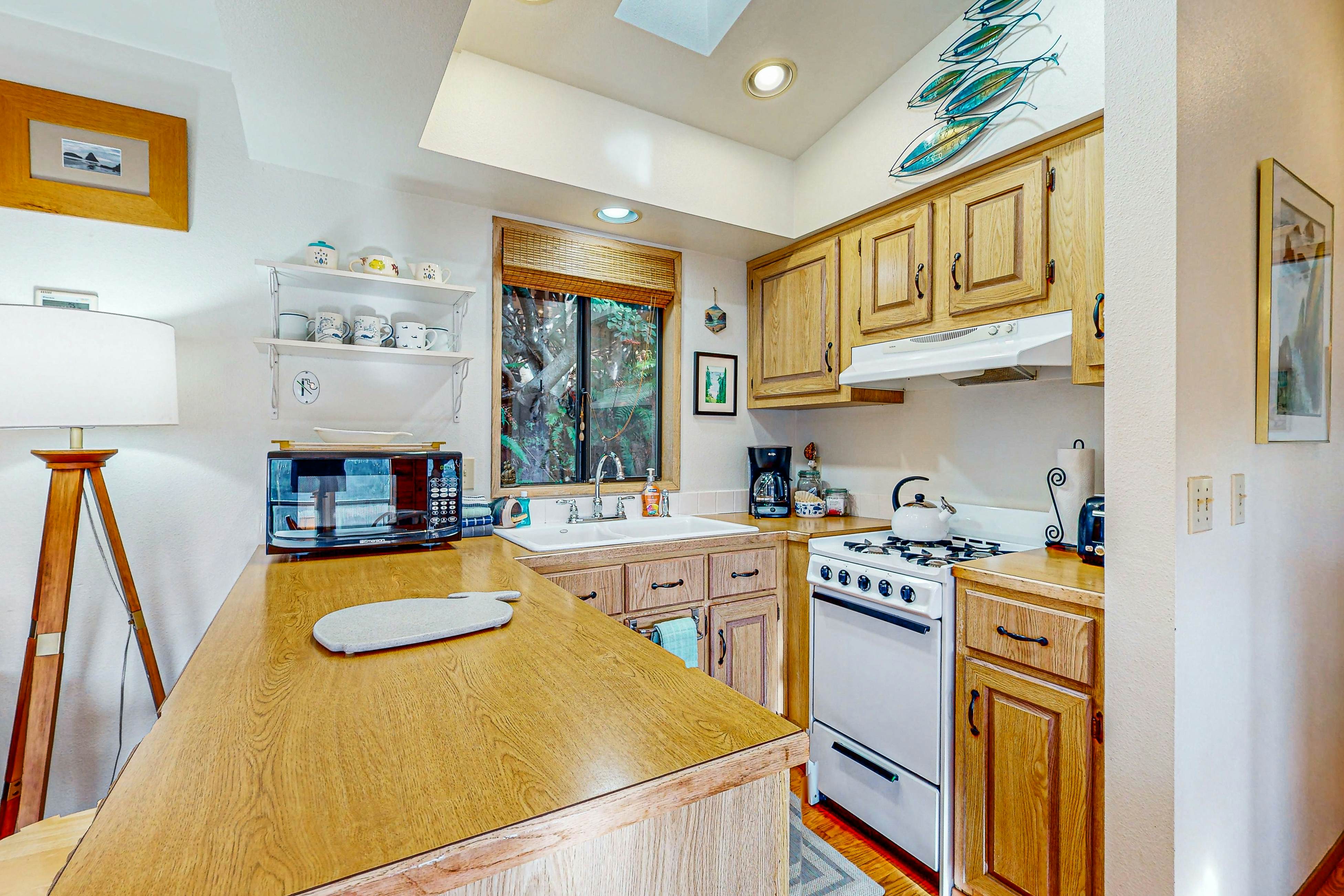 Whimsical Whaleshead -OV-10