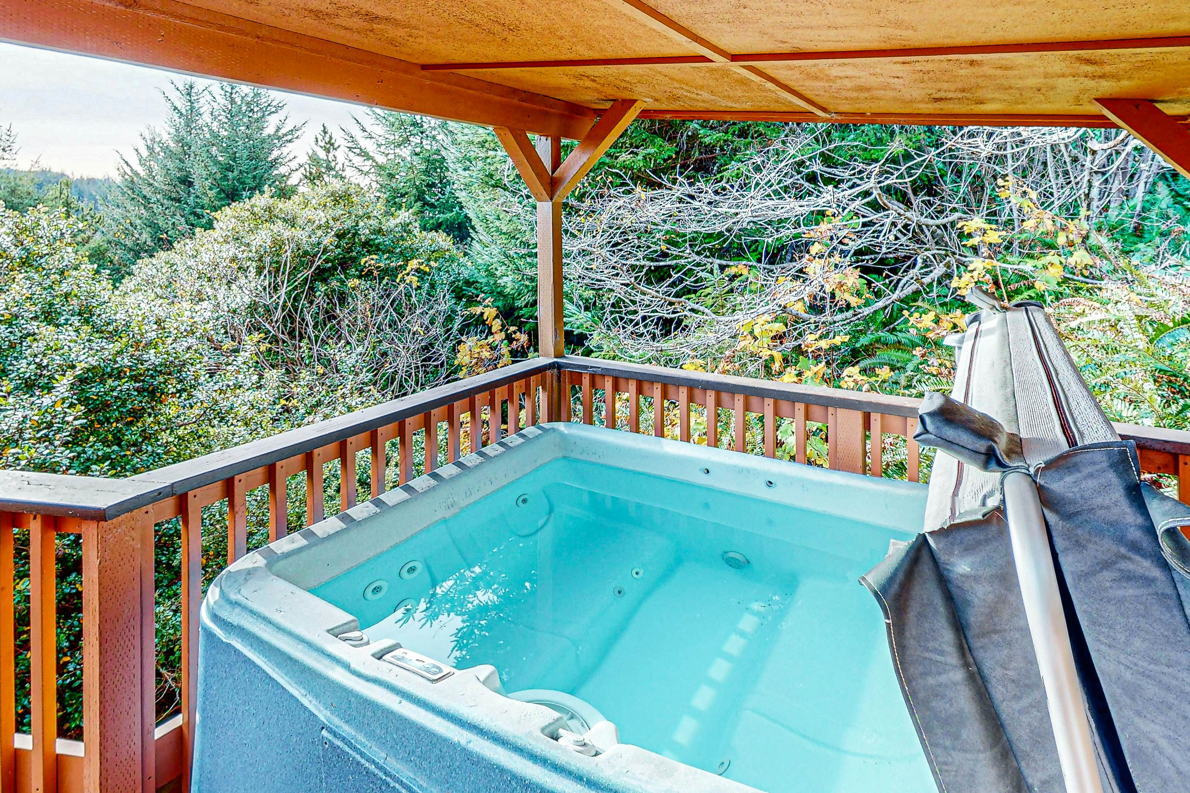 Whimsical Whaleshead -OV-10