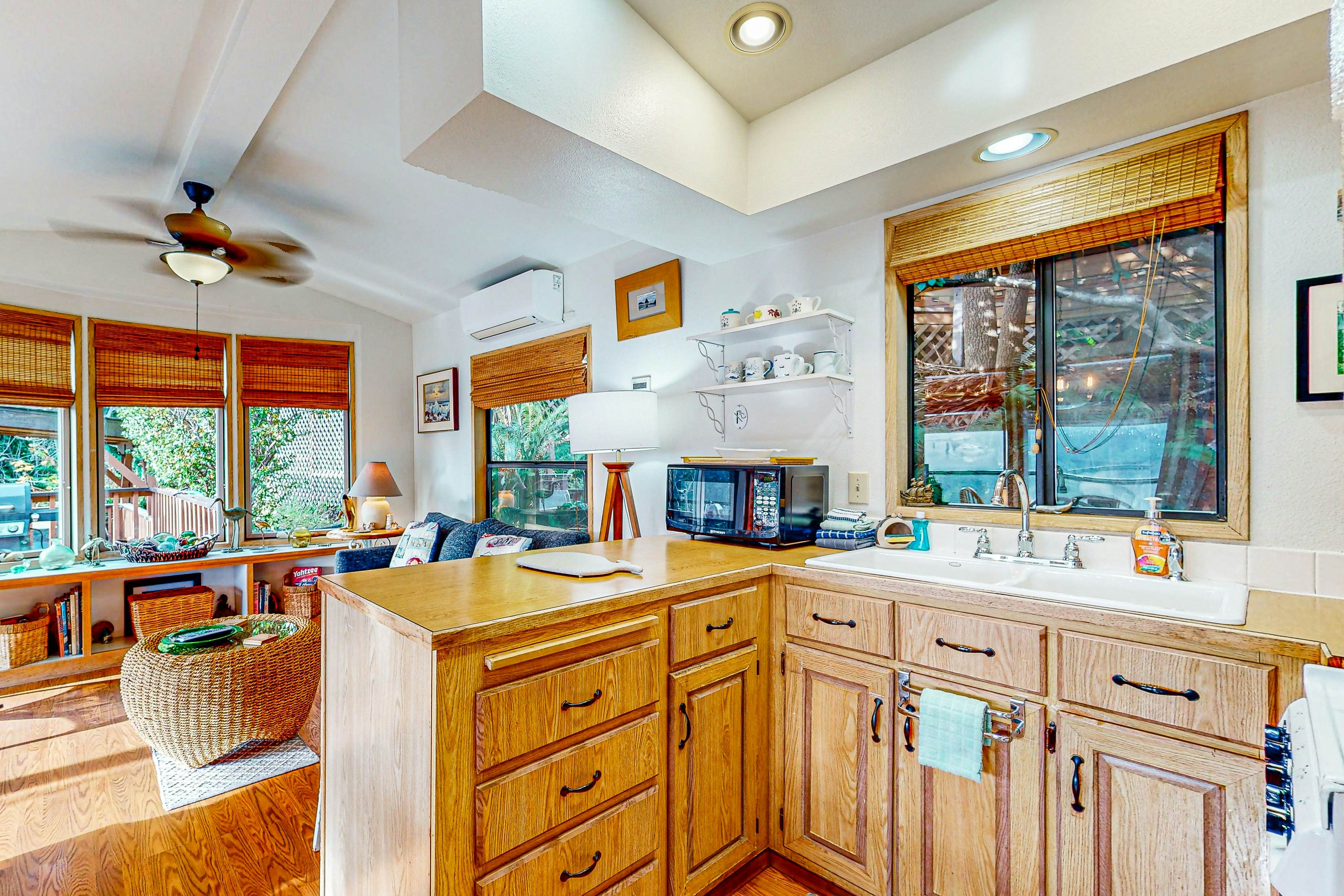 Whimsical Whaleshead -OV-10