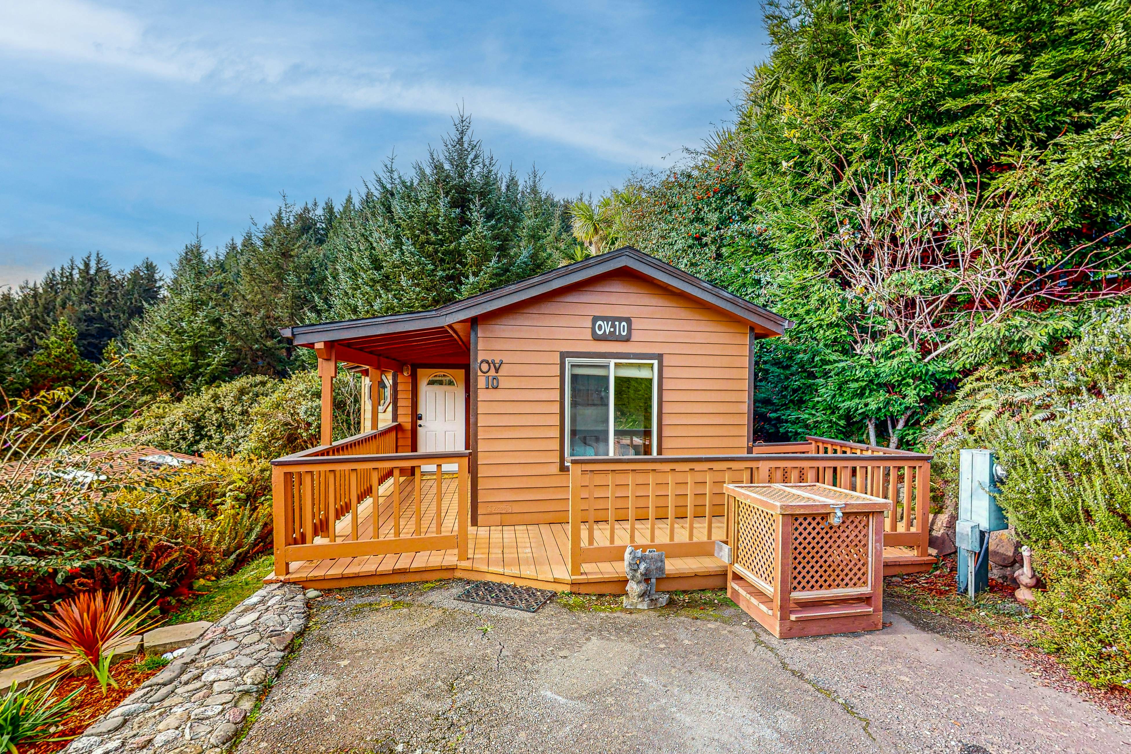 Whimsical Whaleshead -OV-10