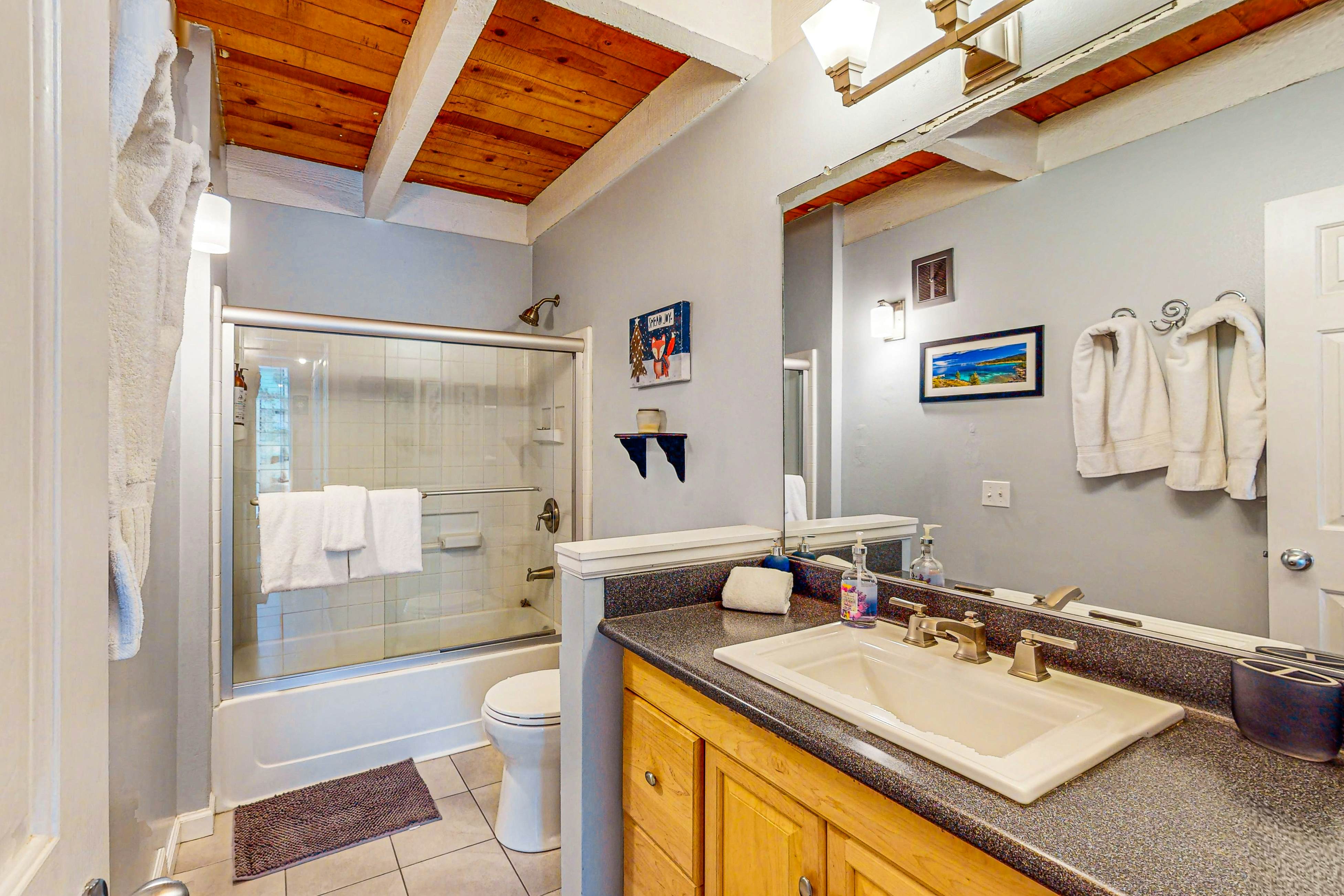 Beauty by Kings Beach