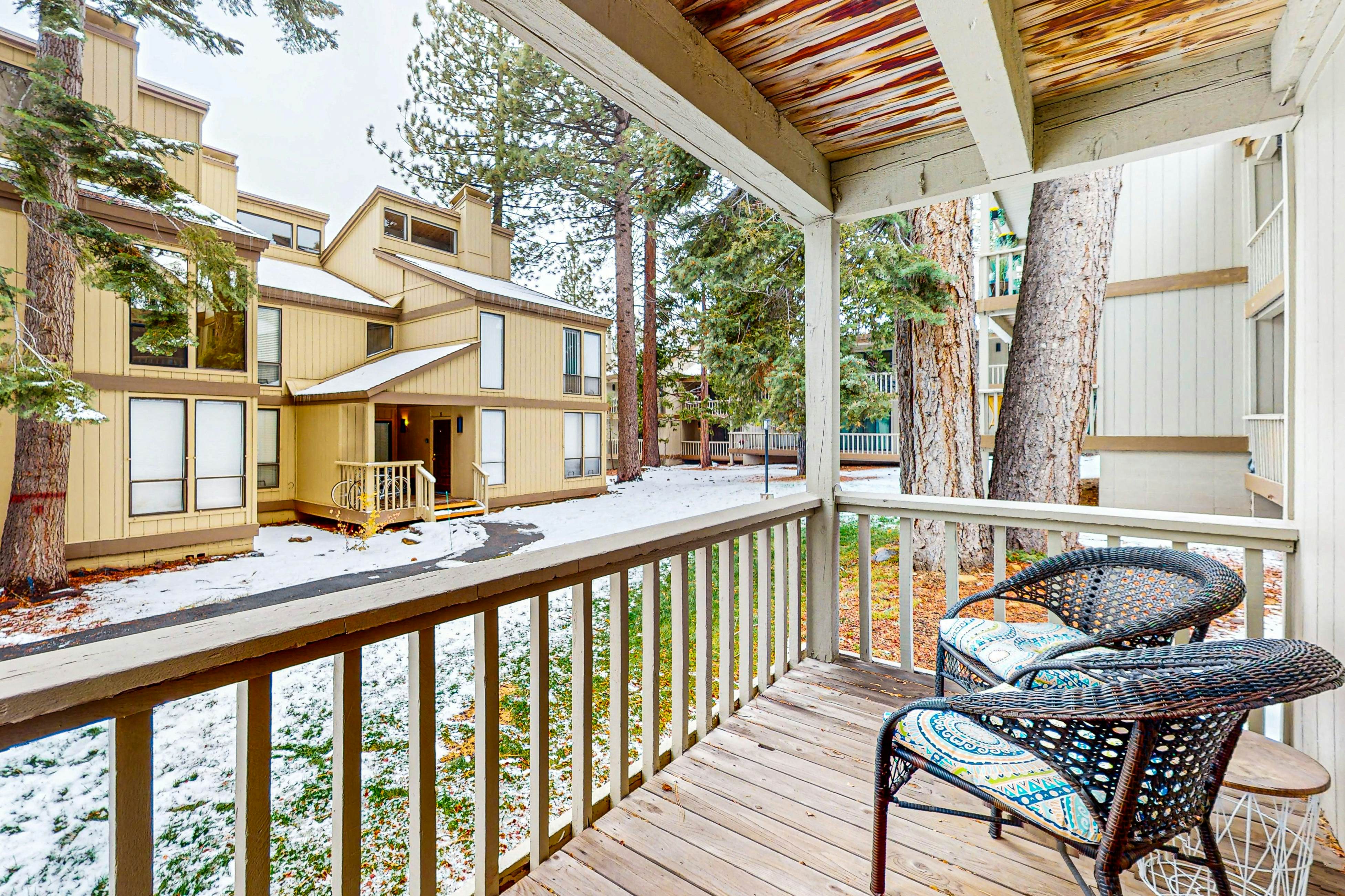 Beauty by Kings Beach