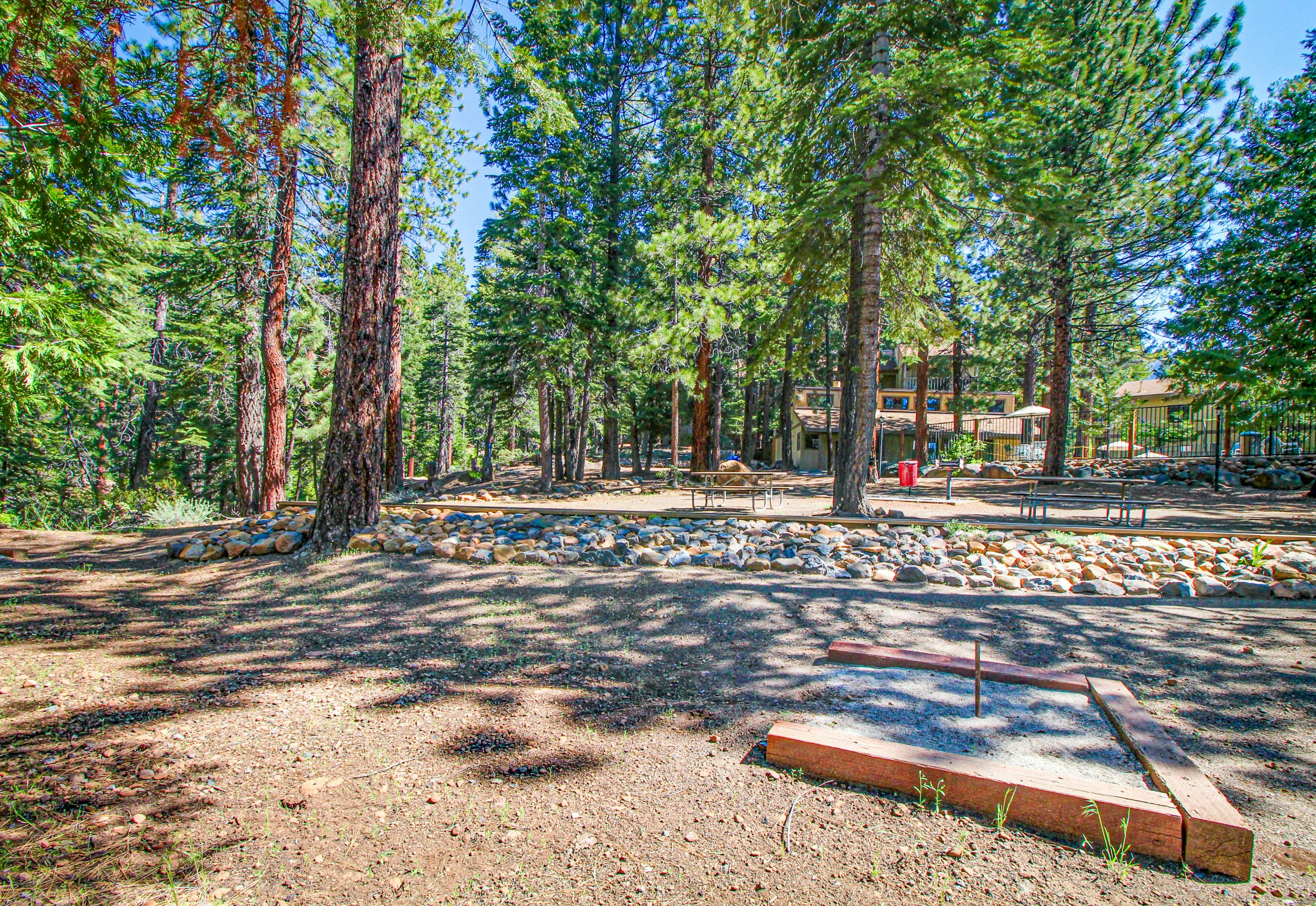 Beauty by Kings Beach