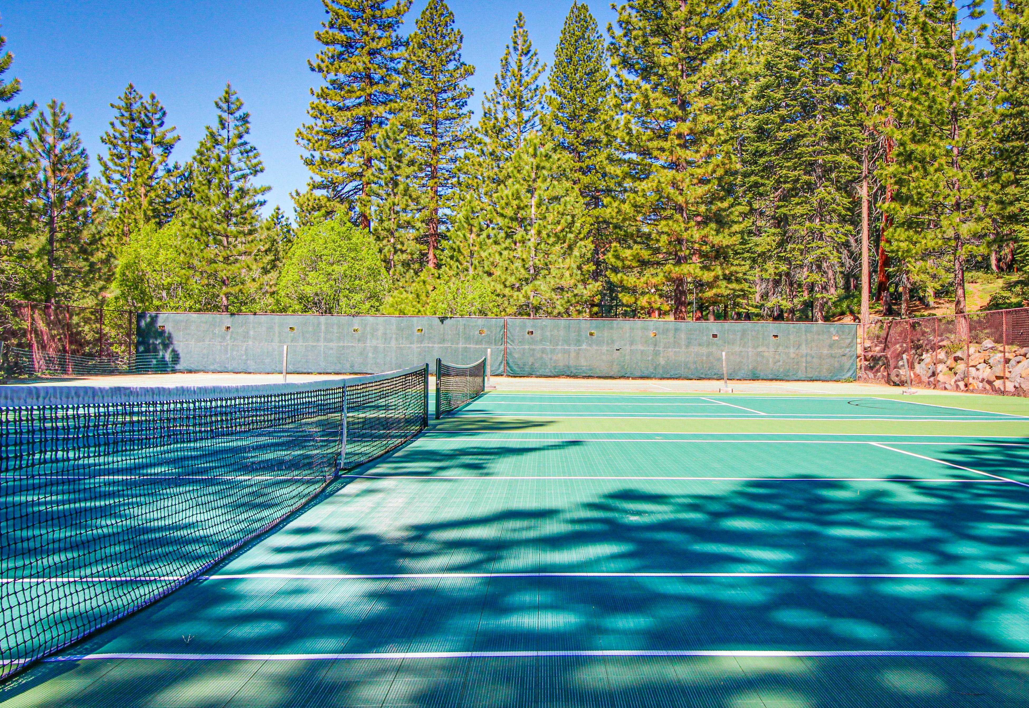 Beauty by Kings Beach