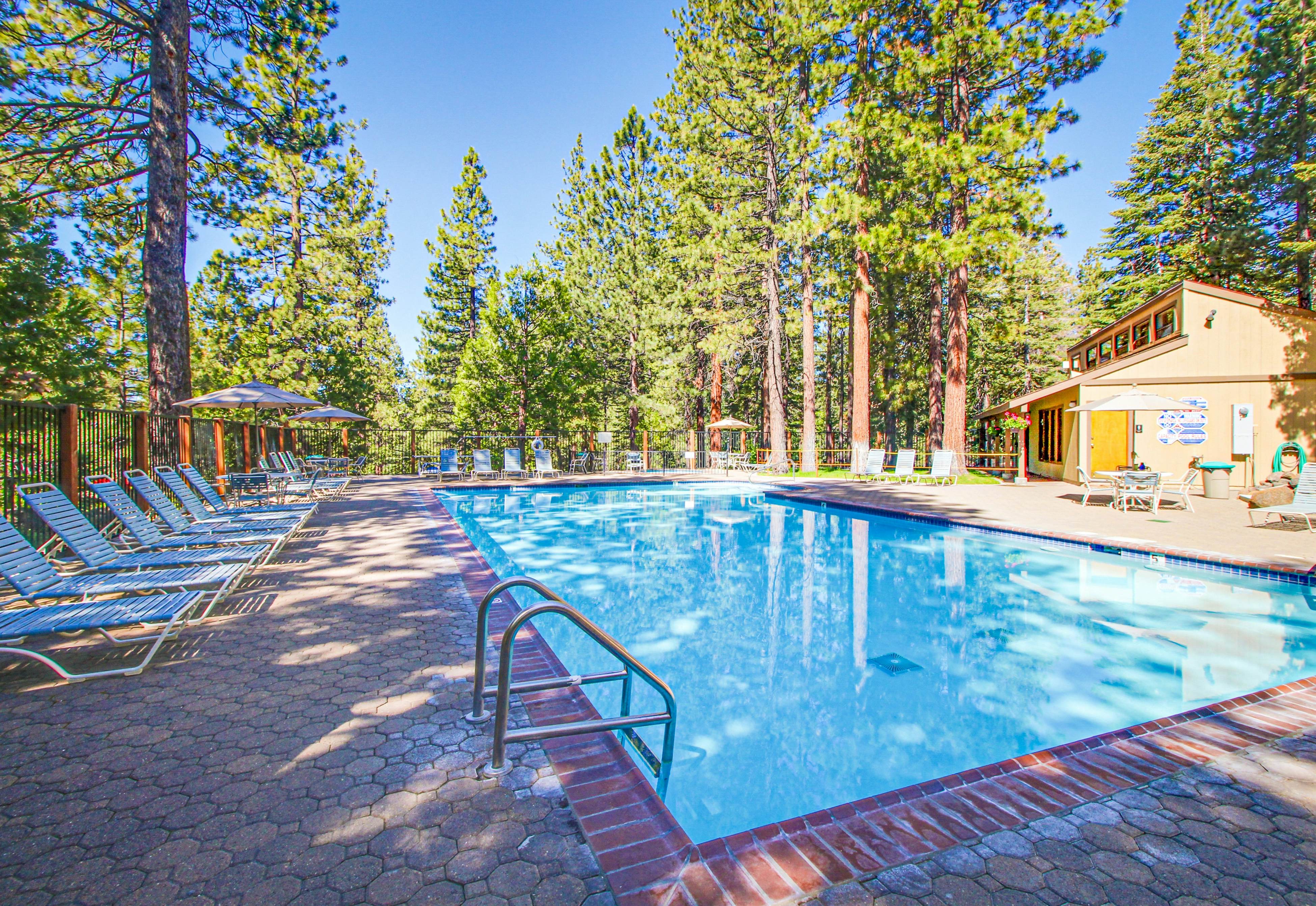 Beauty by Kings Beach