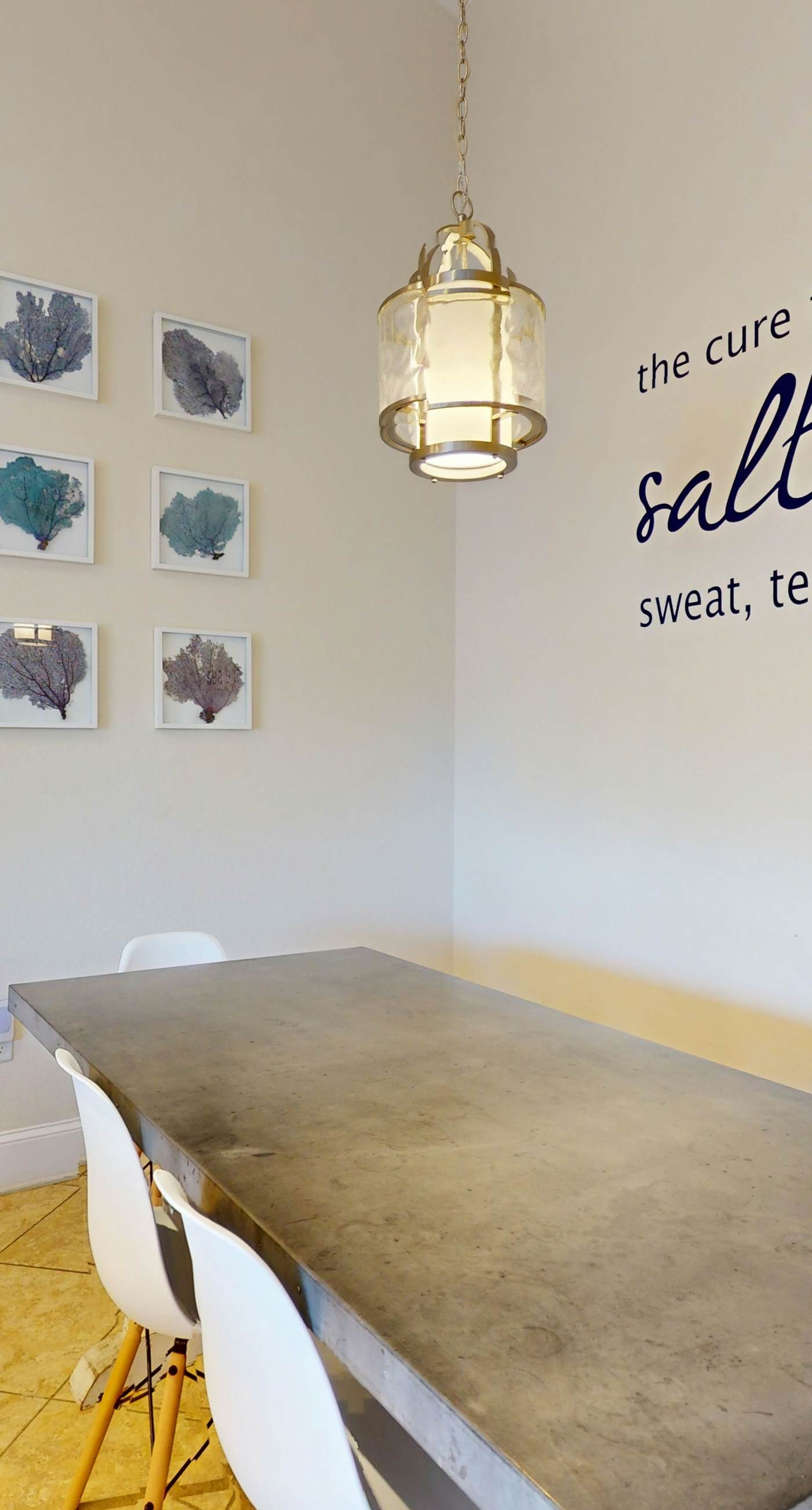 Spectacular Saltwater Seas