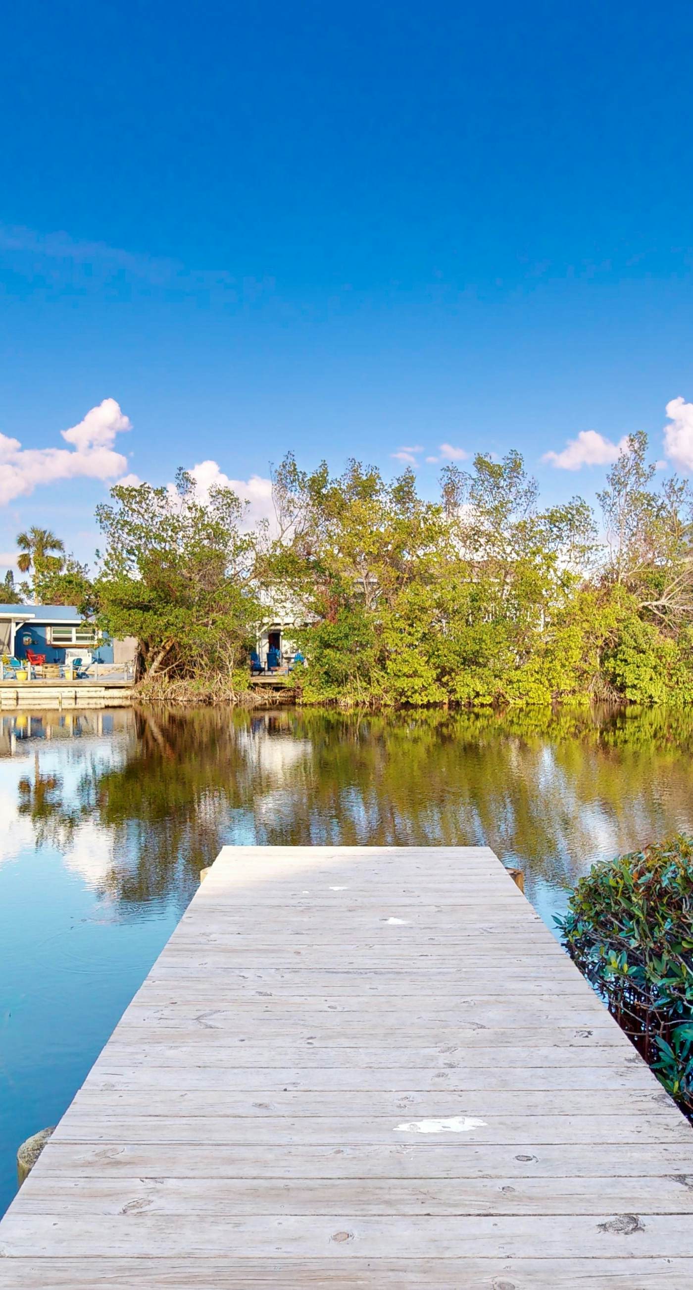 Spectacular Saltwater Seas