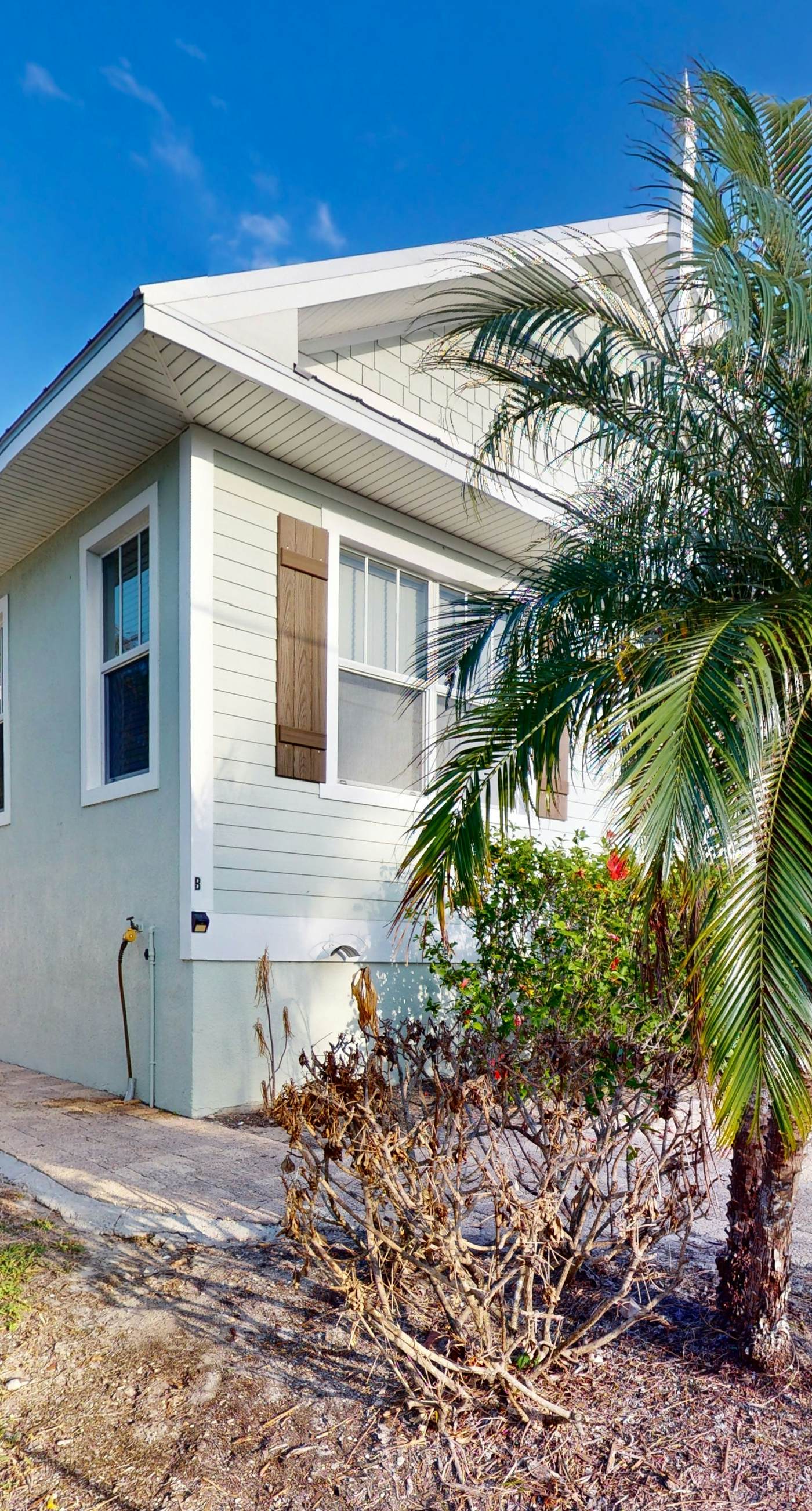 Spectacular Saltwater Seas