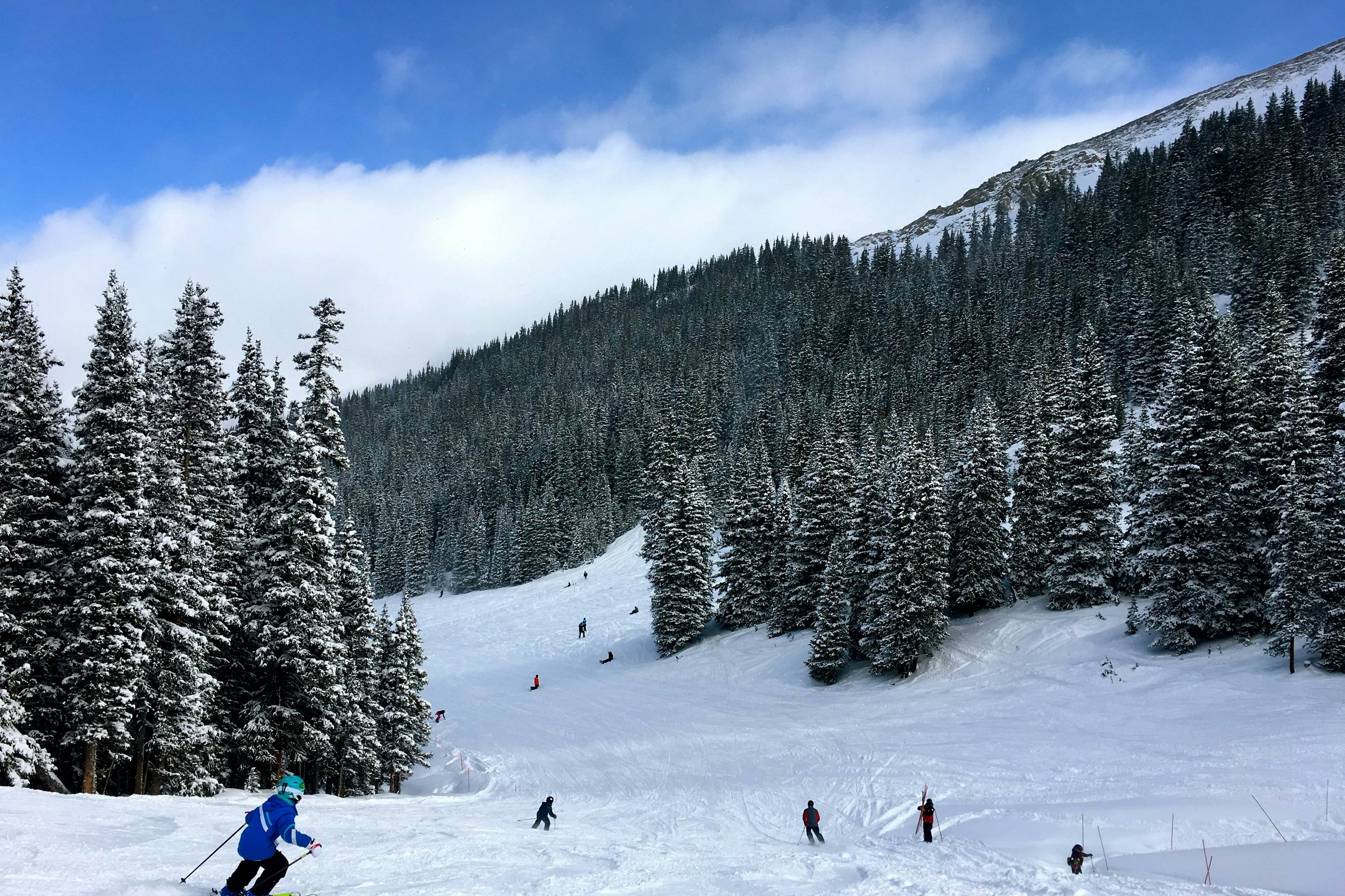 Timber Creek Bldg B #305