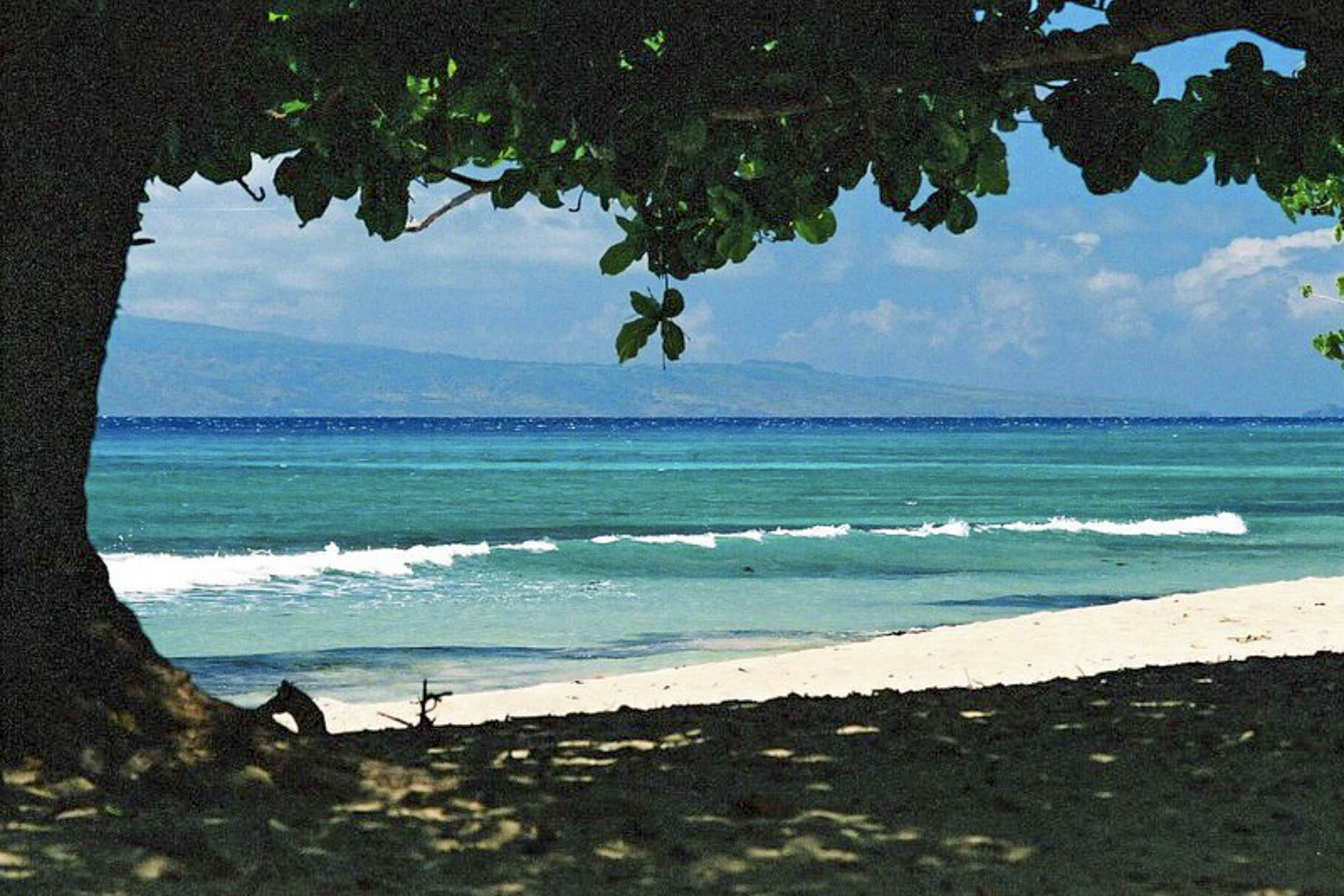 Polynesian Shores 118