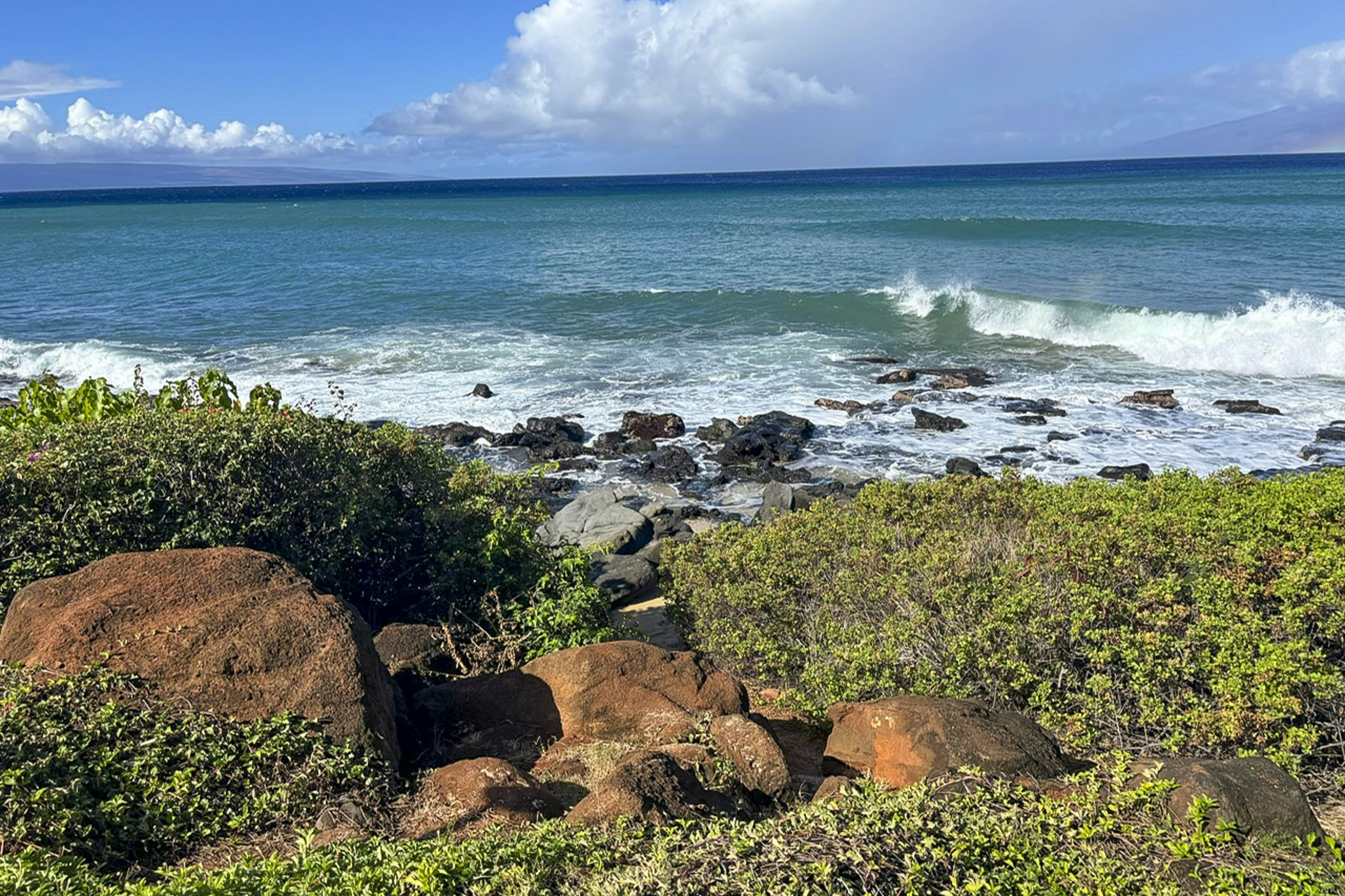 Polynesian Shores 118