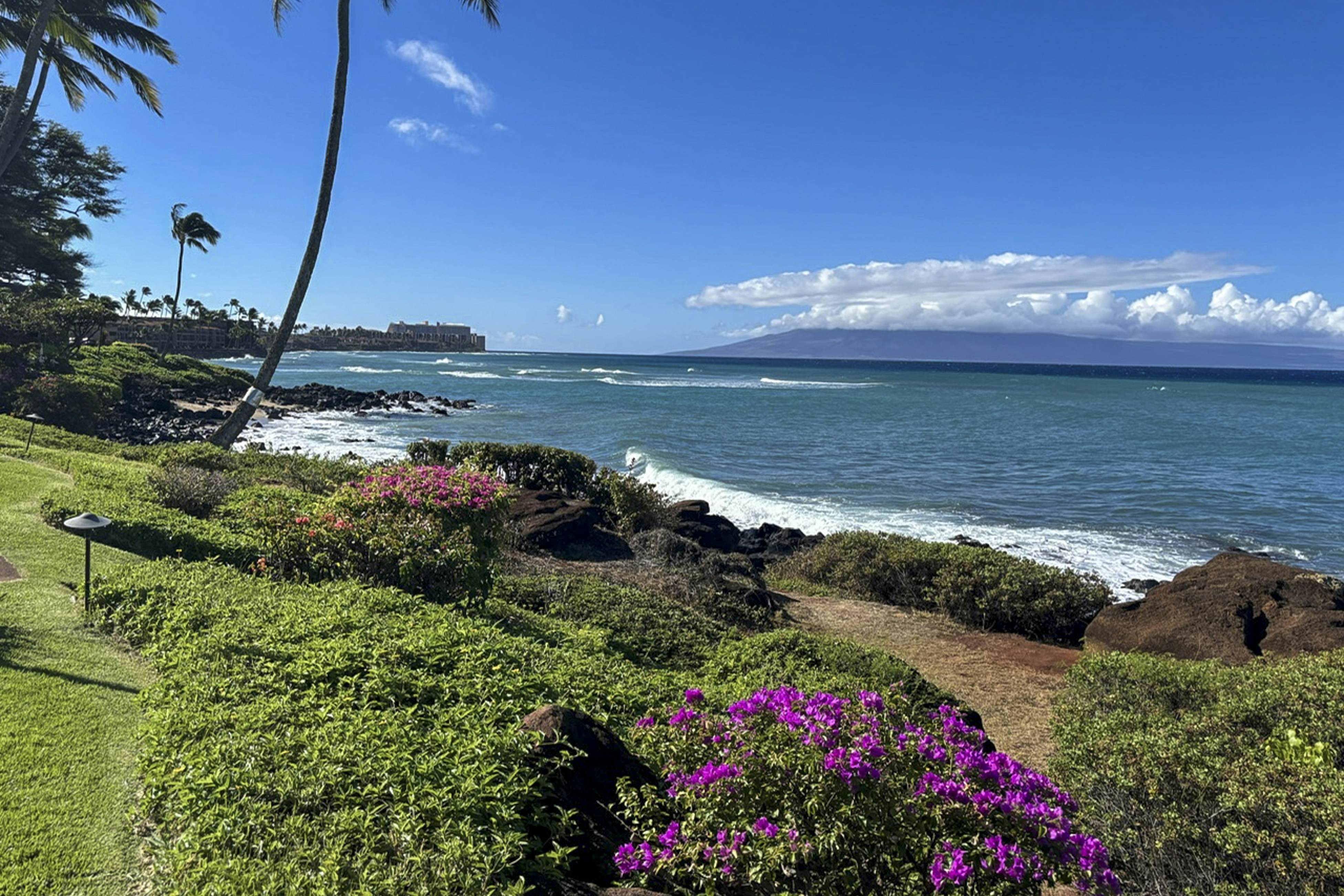 Polynesian Shores 118