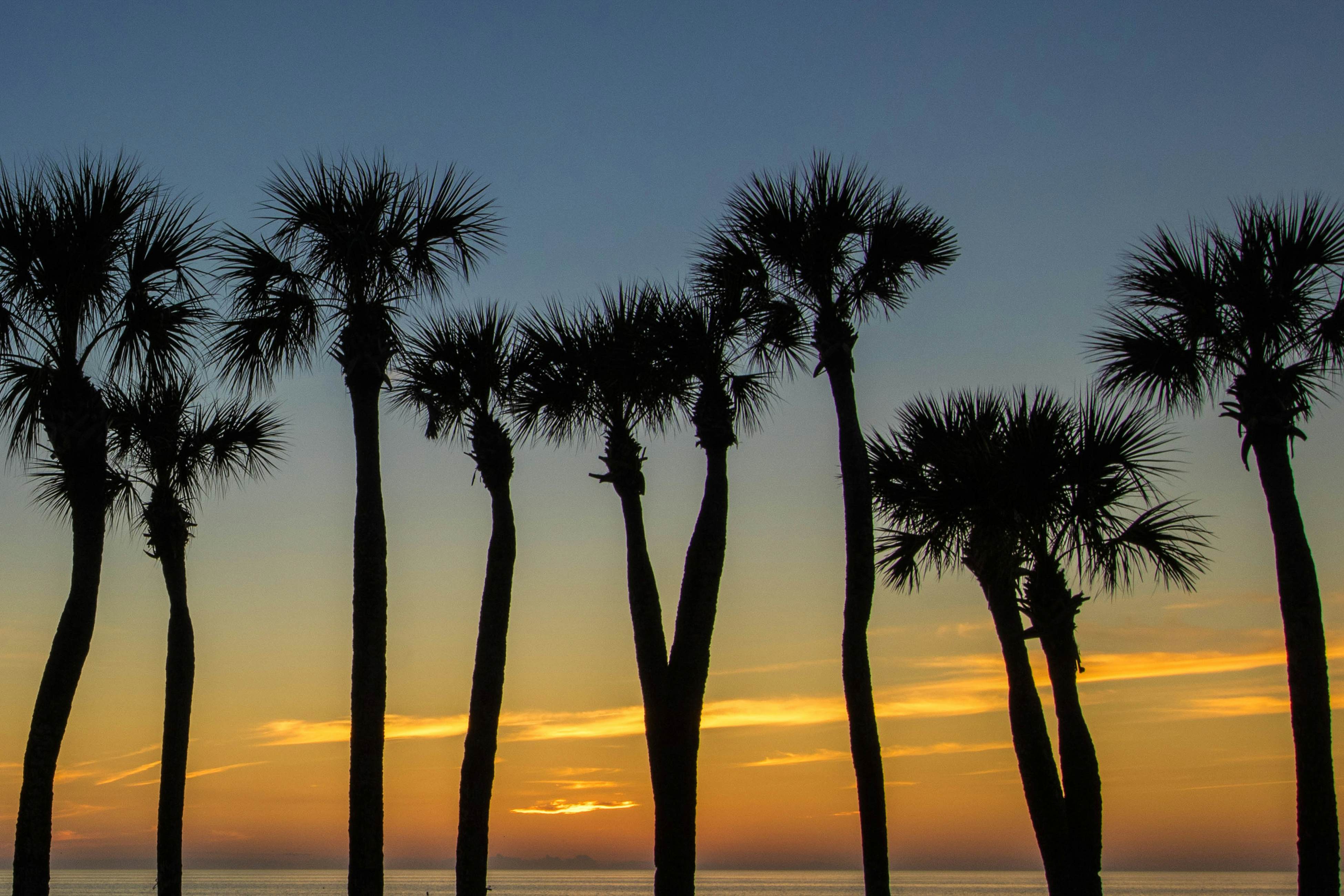 Water's Edge 105 South