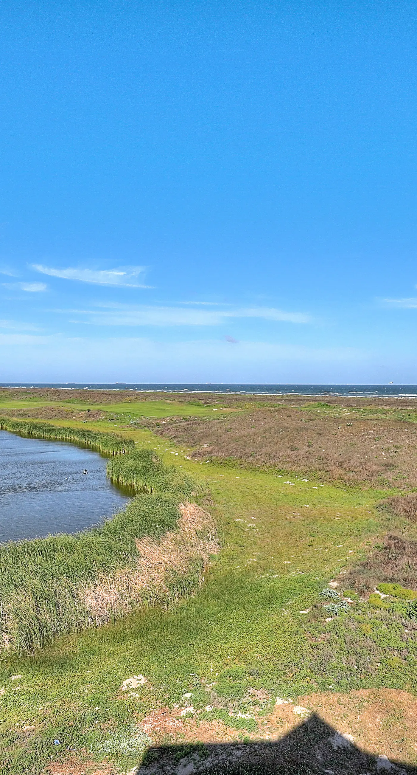 Palmilla Coastal Haven