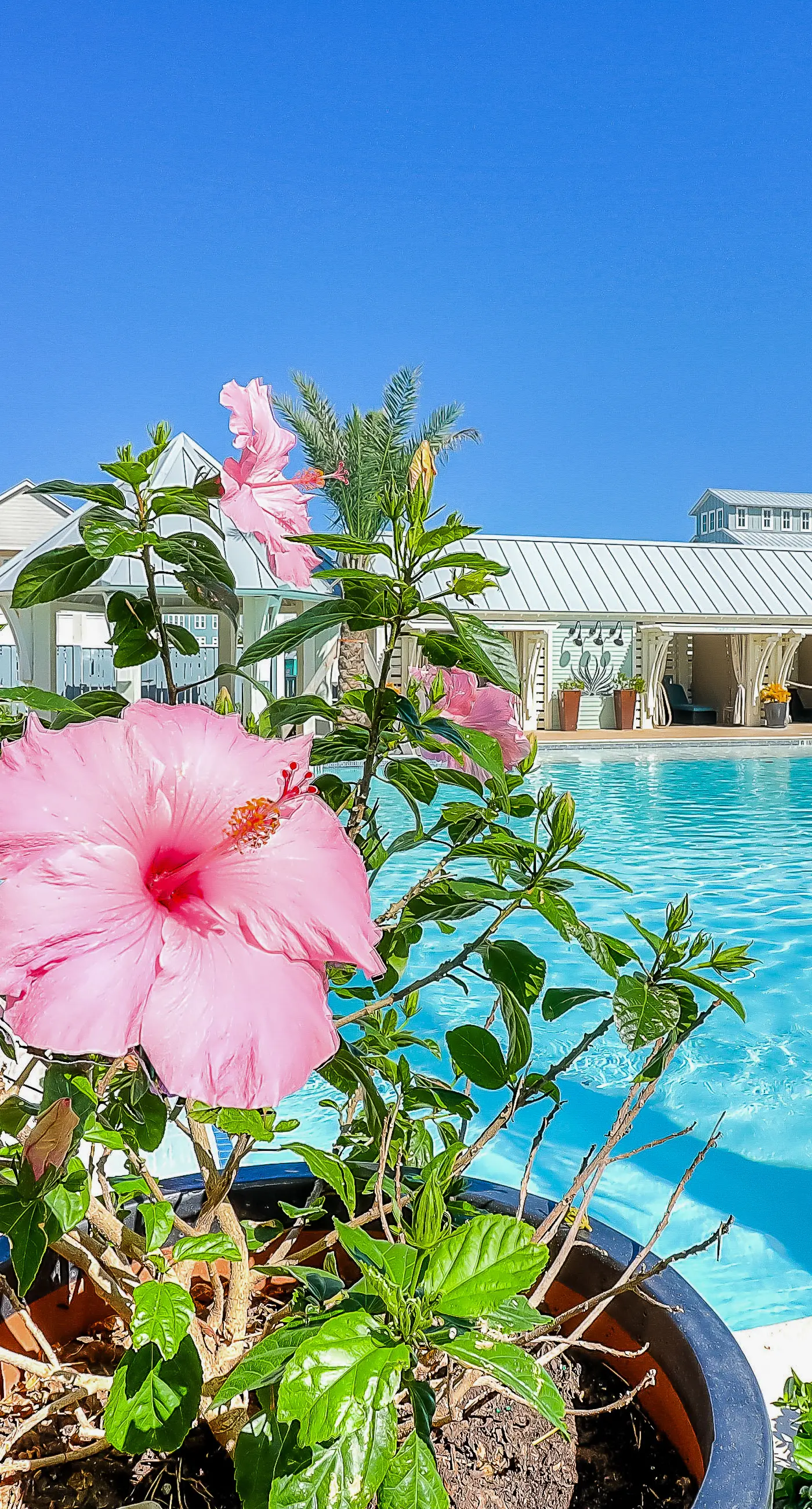 Palmilla Coastal Haven