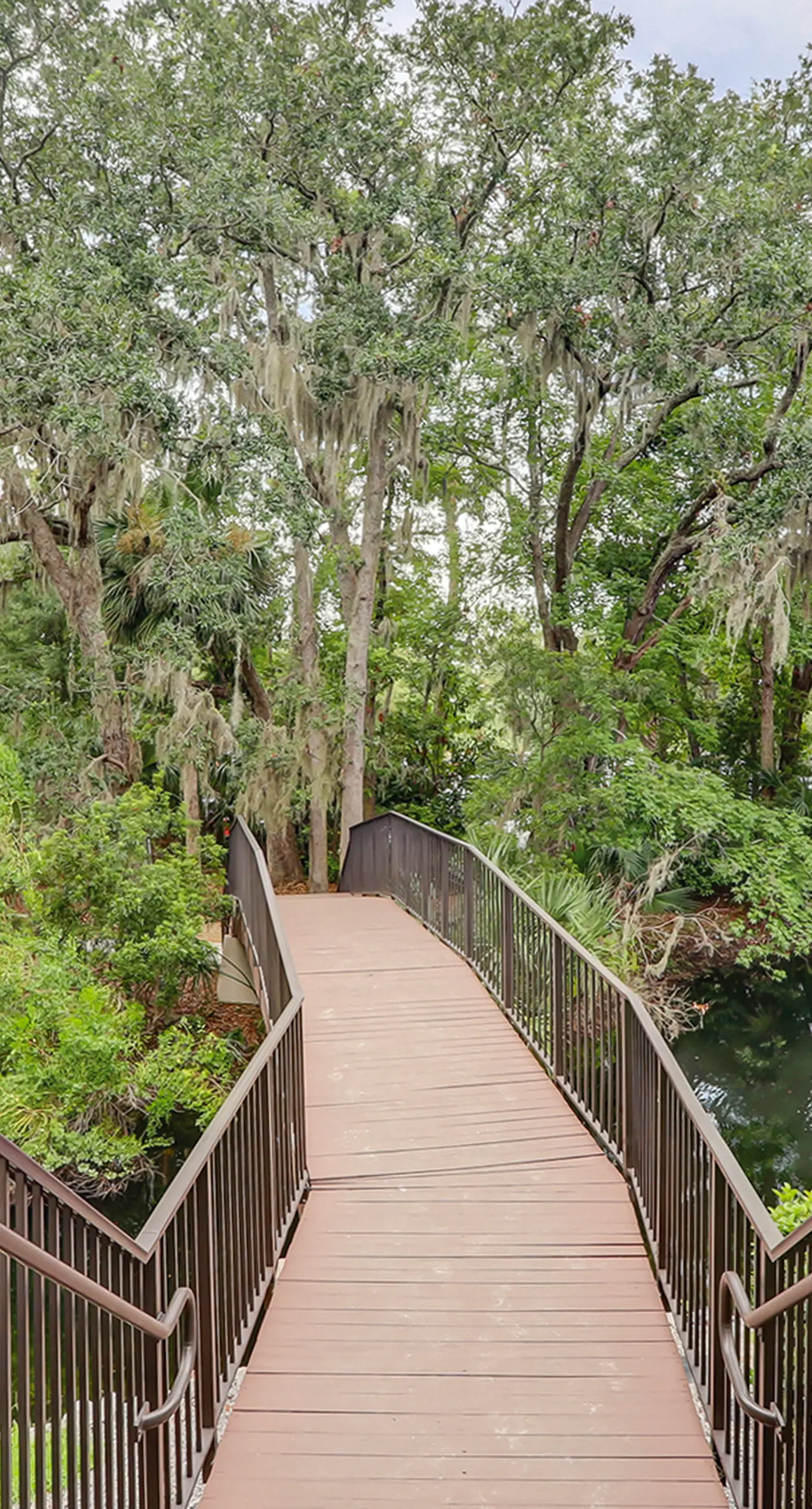 Forest Beach Villas 101