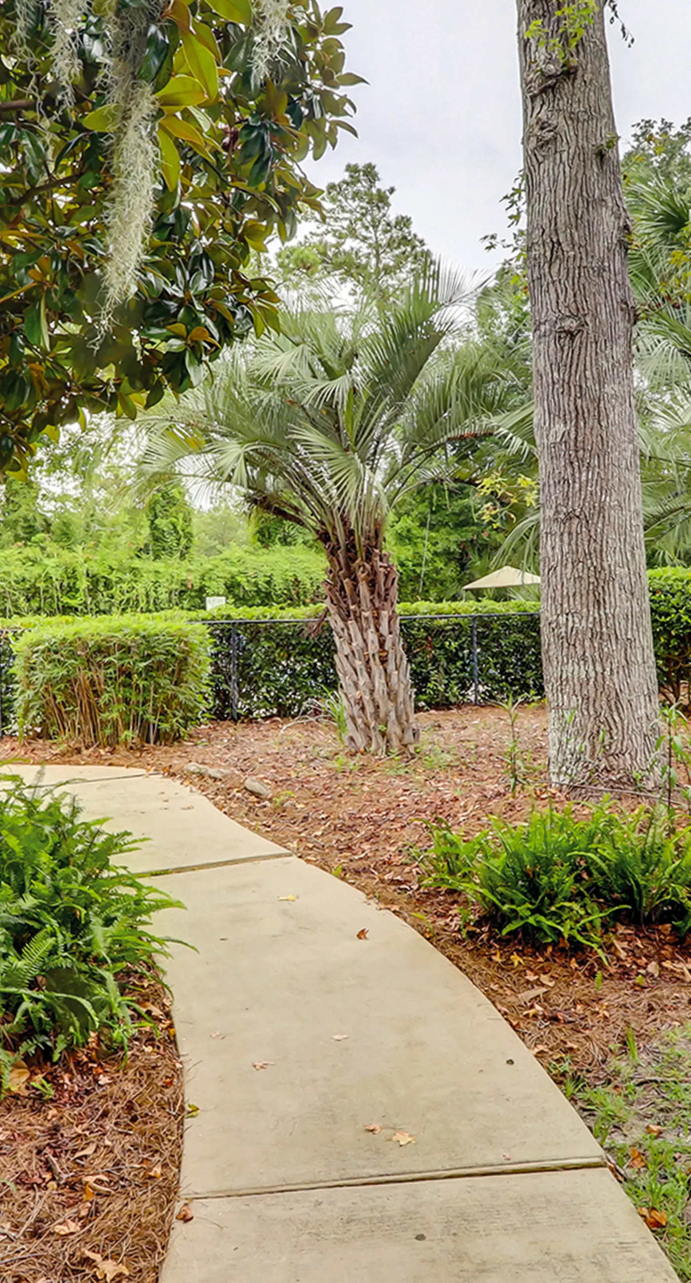 Forest Beach Villas 101