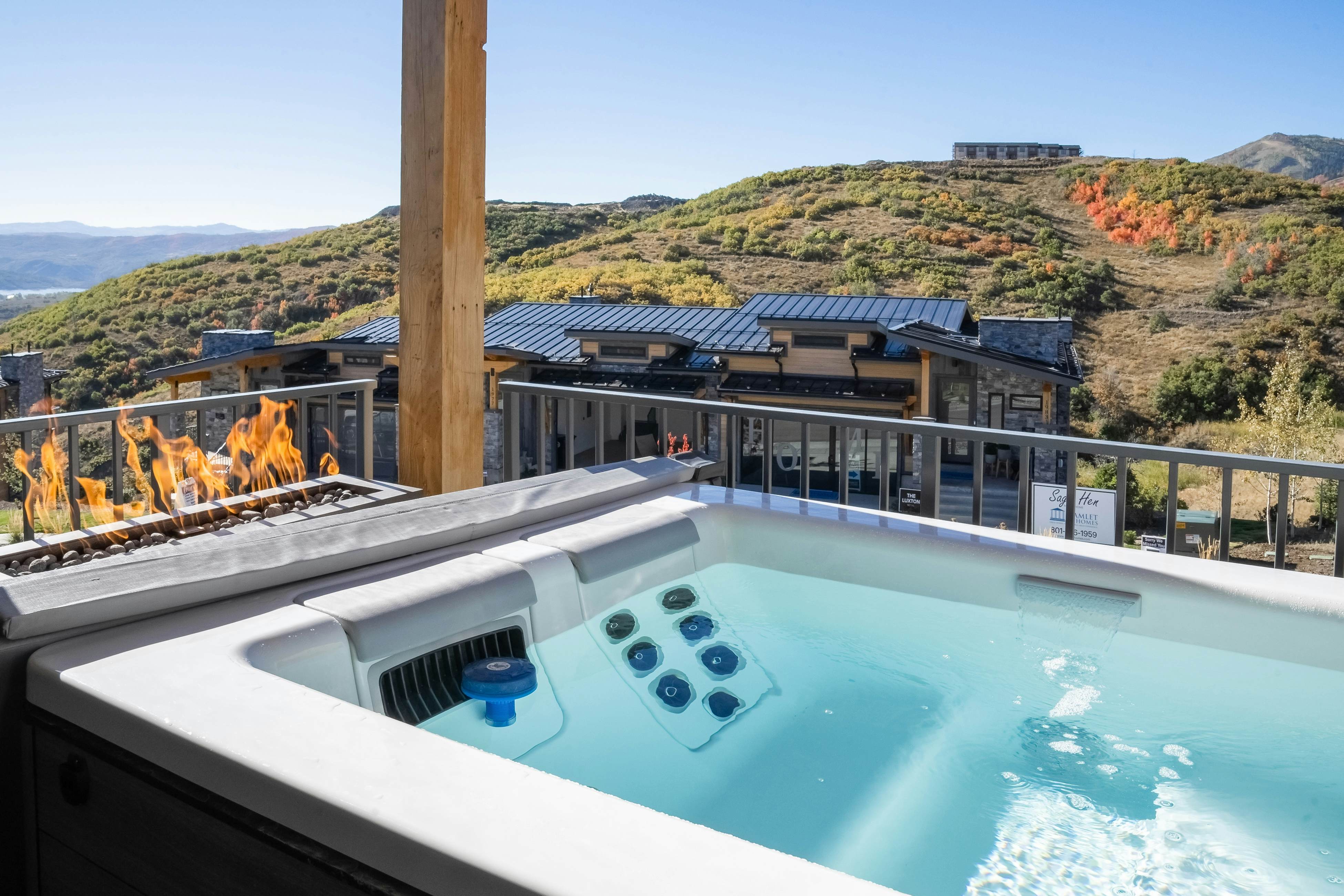 Sage Hen by the Lake