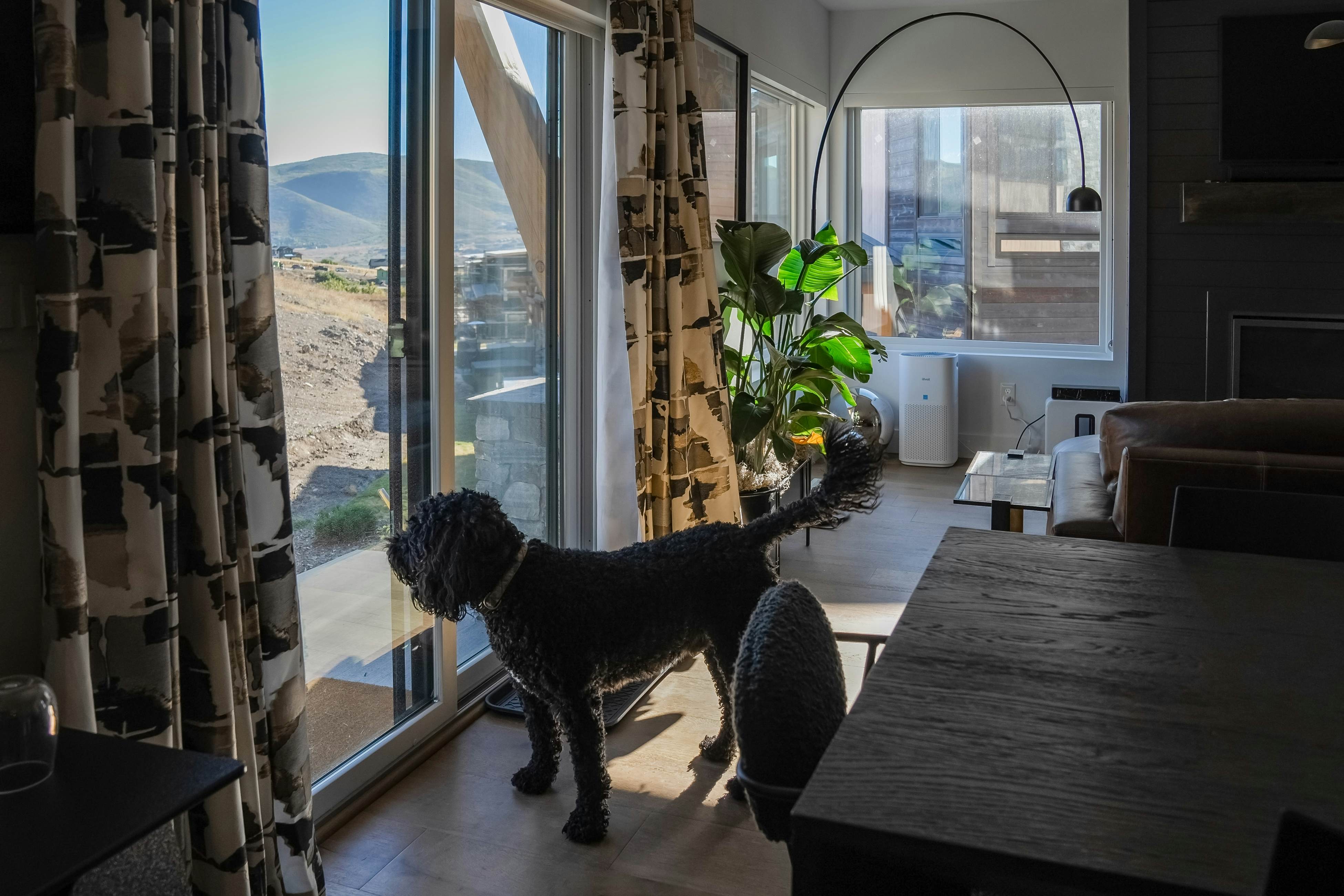 Sage Hen by the Lake