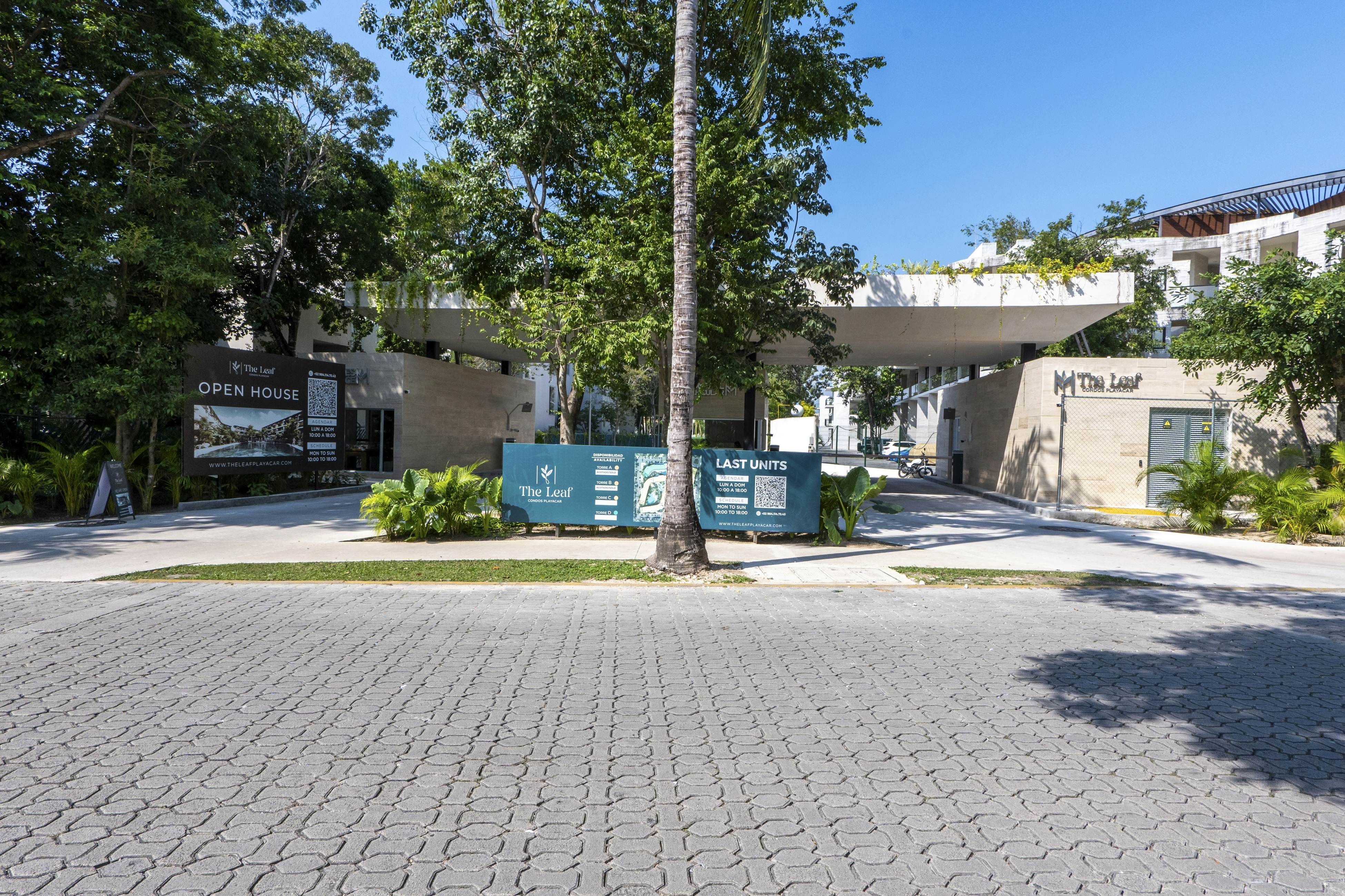 Whispering Palms TL  B114