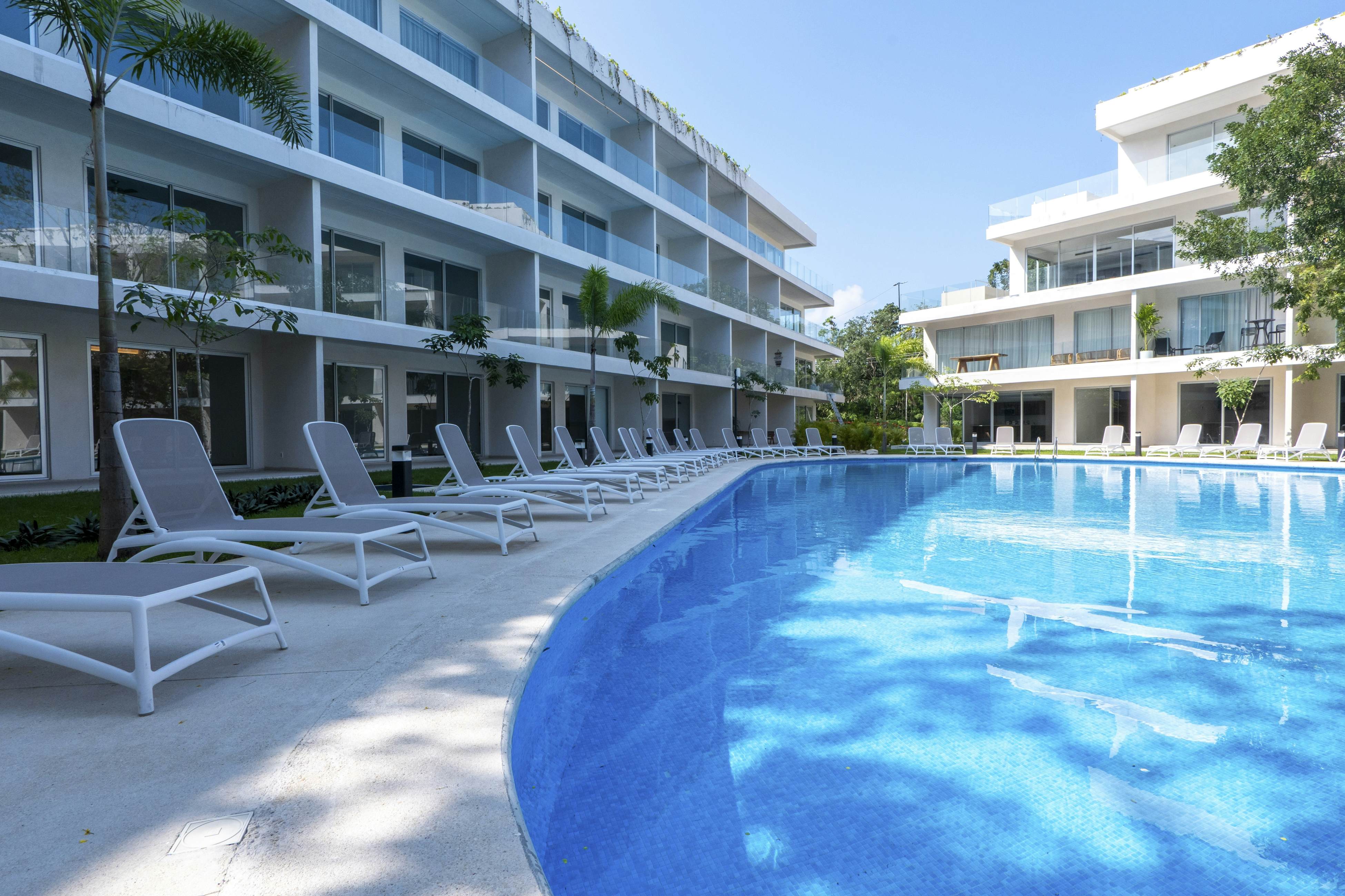 Whispering Palms TL  B114