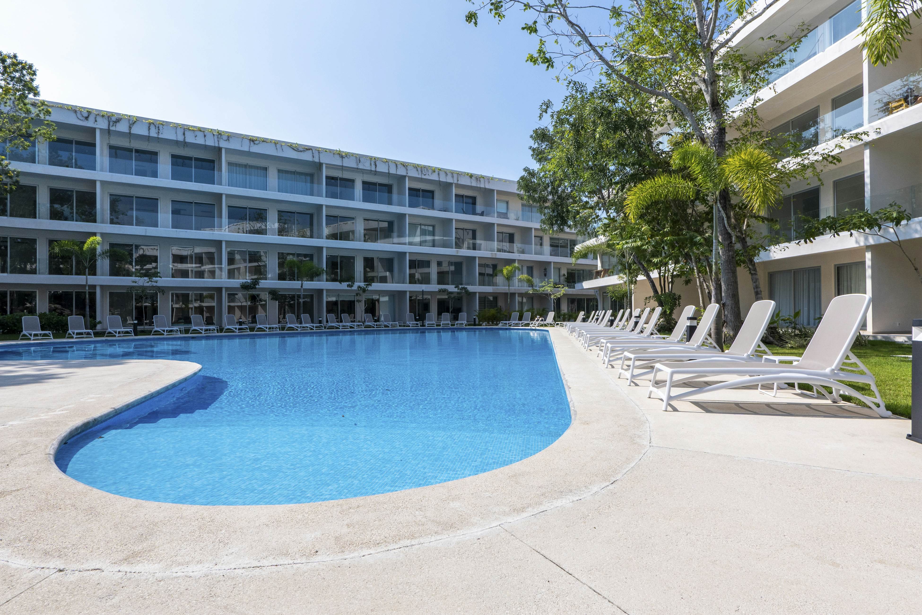 Whispering Palms TL  B114